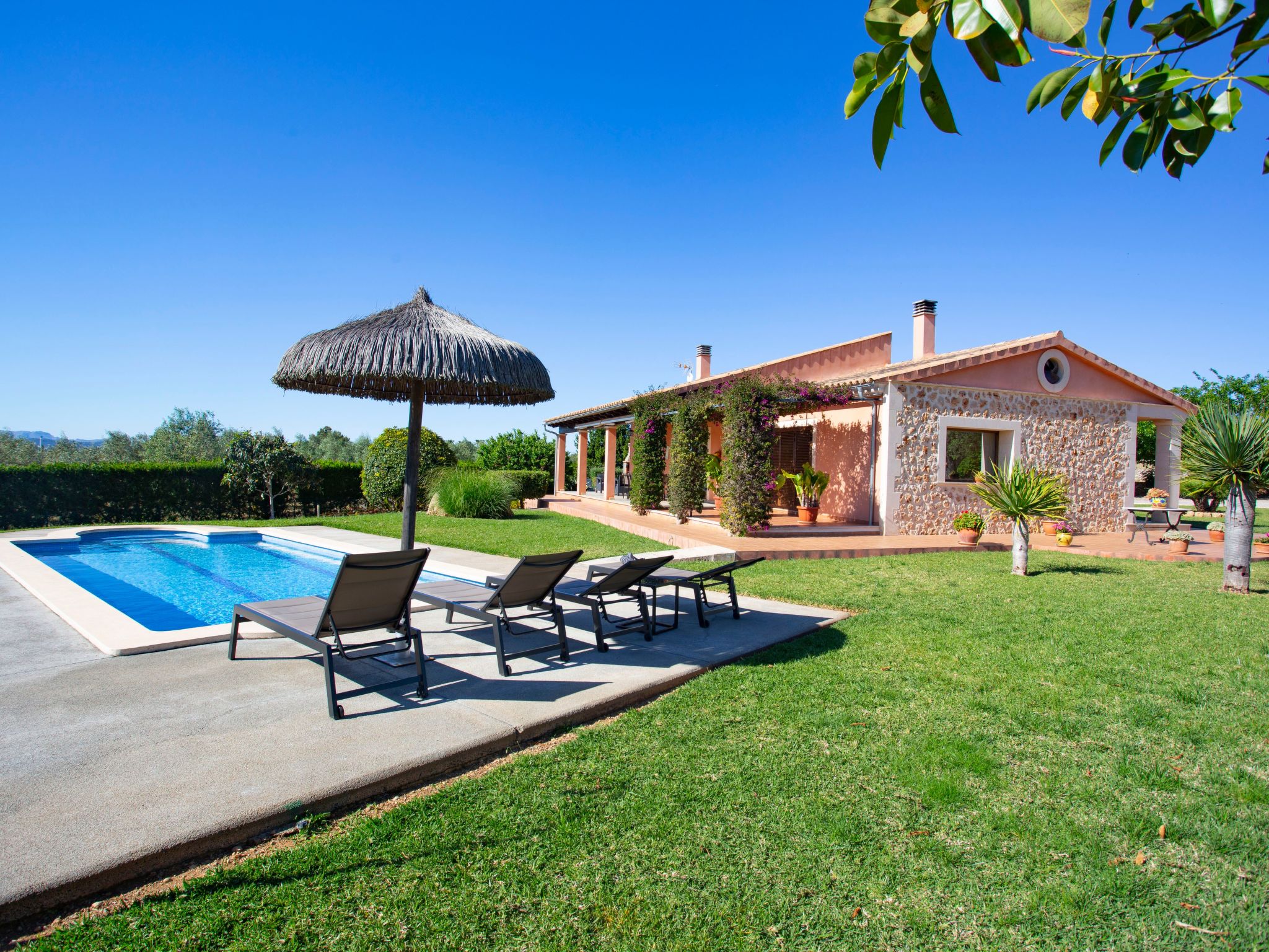 Finca Oliveres-Binnen