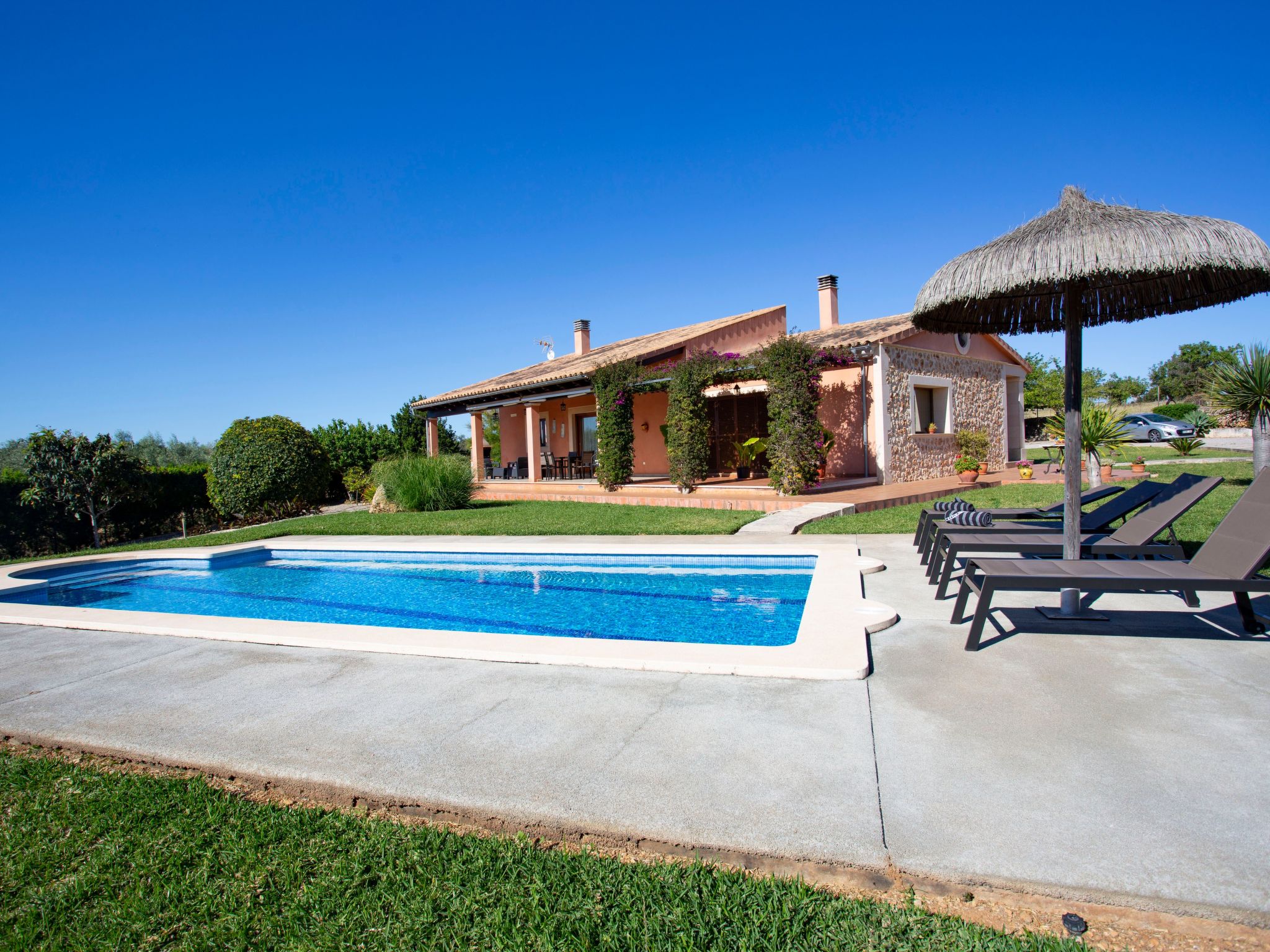 Finca Oliveres-Binnen