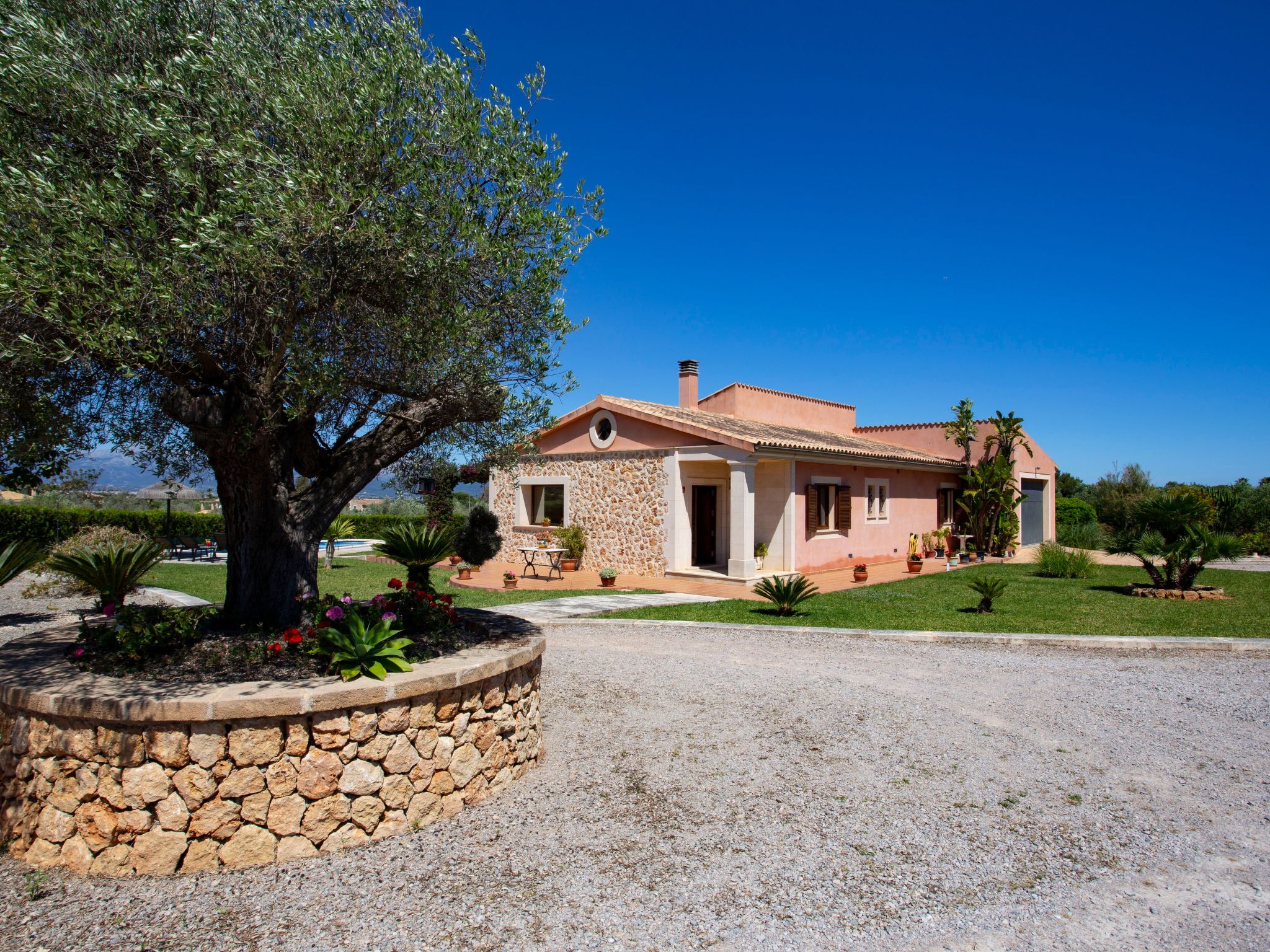 Finca Oliveres-Binnen