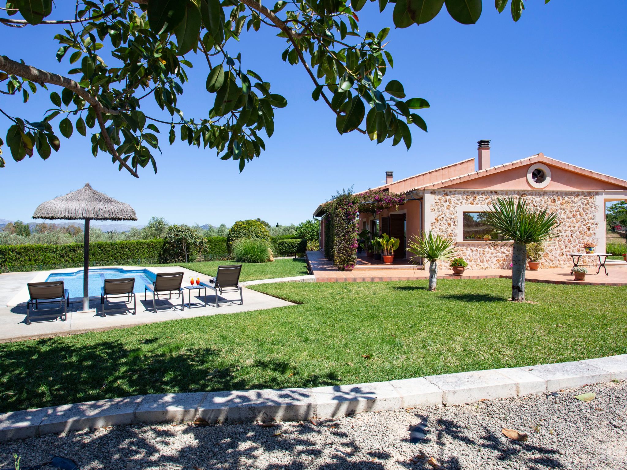 Finca Oliveres-Binnen