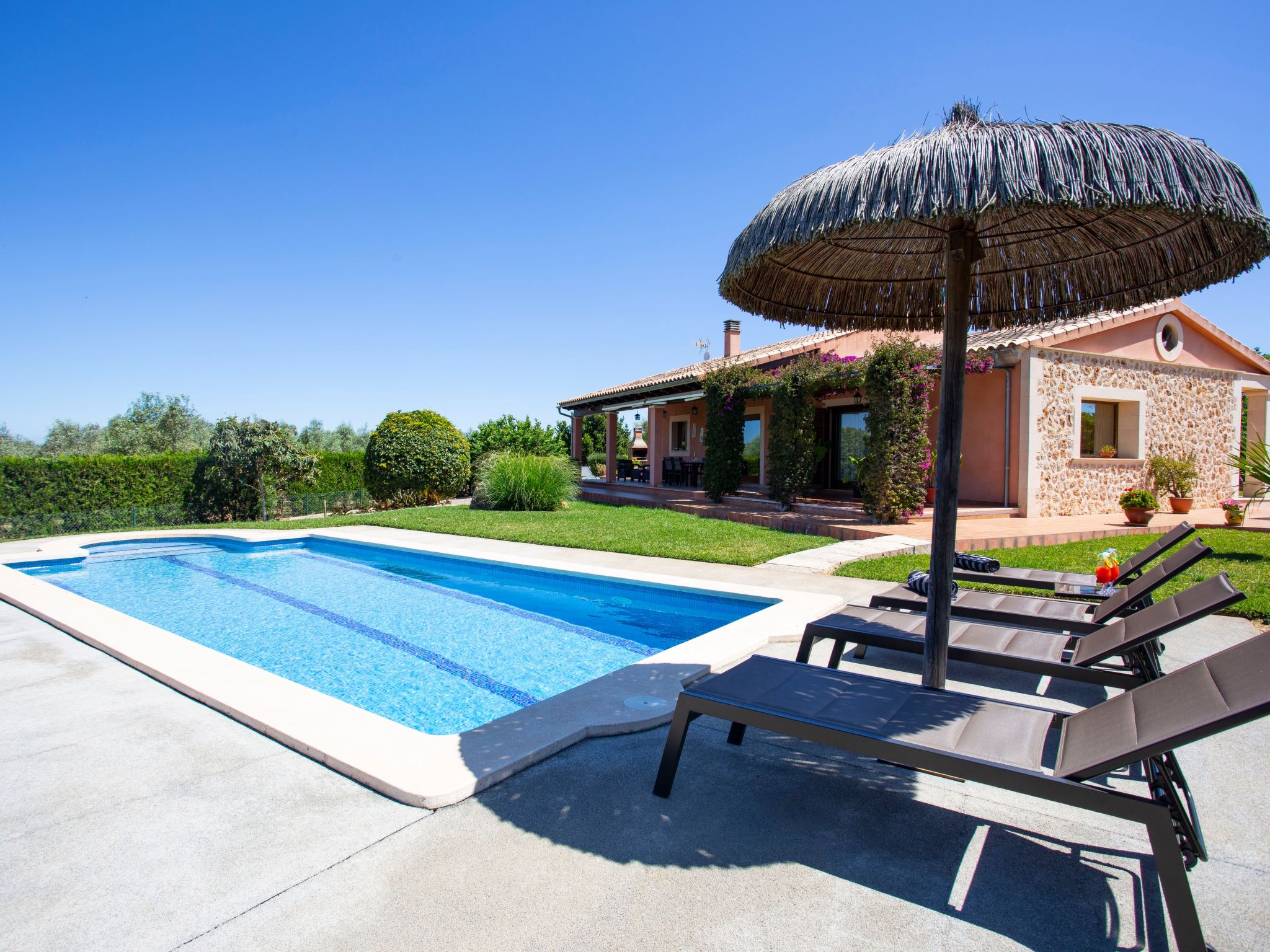 Finca Oliveres-Binnen