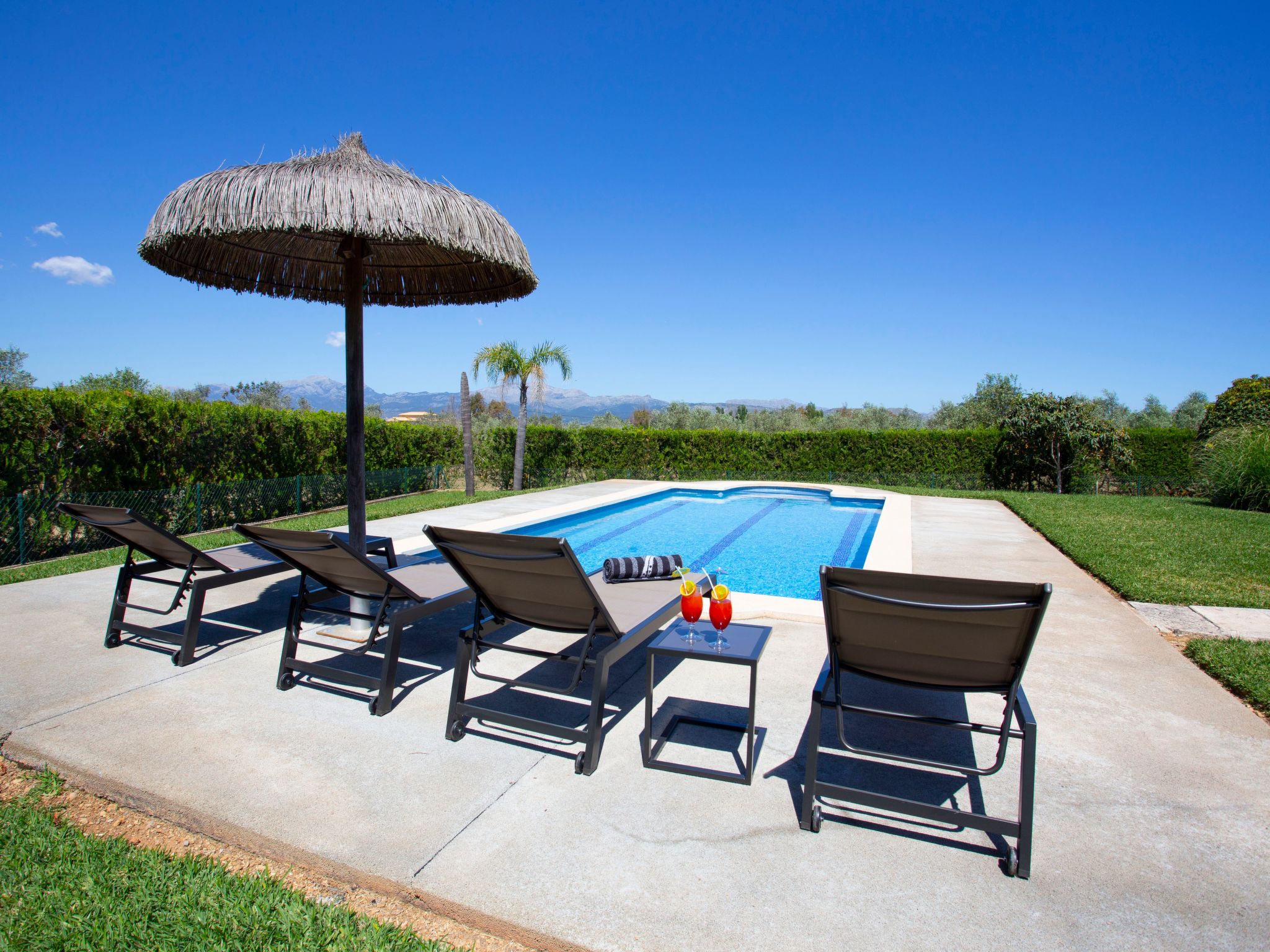 Finca Oliveres-Binnen