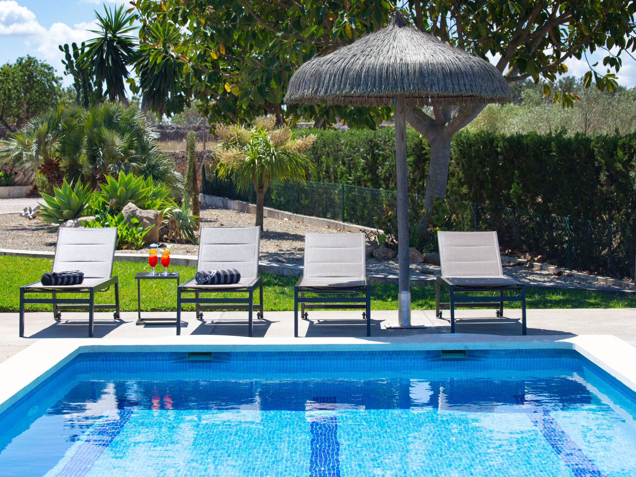 Finca Oliveres-Binnen