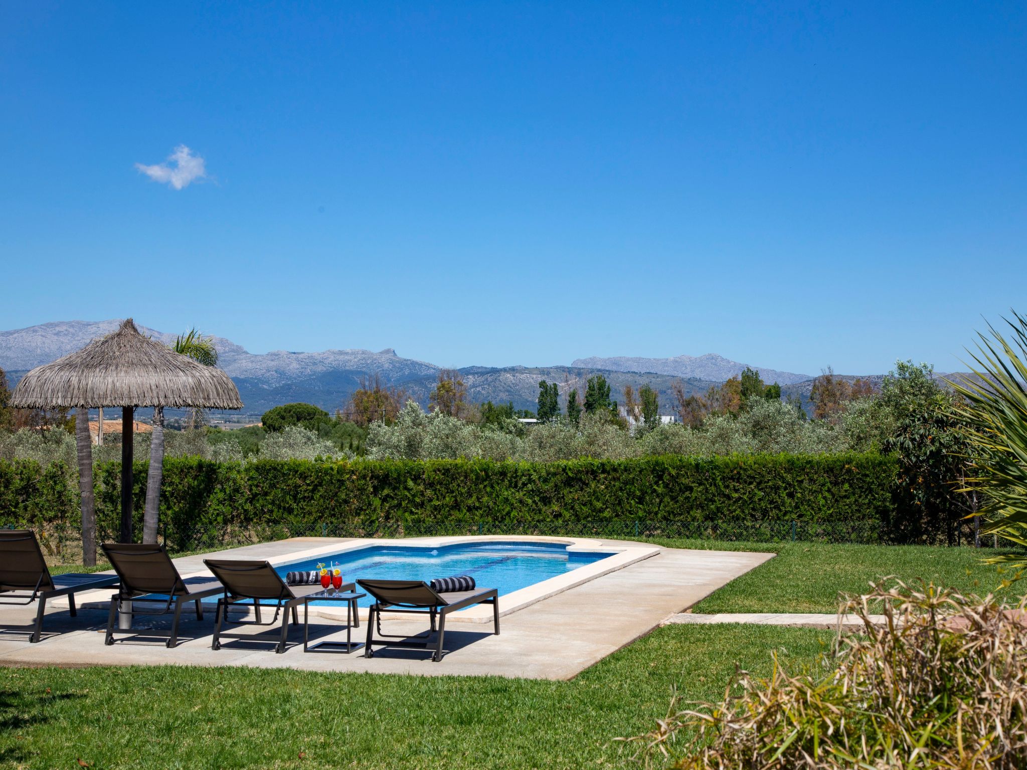 Finca Oliveres-Binnen