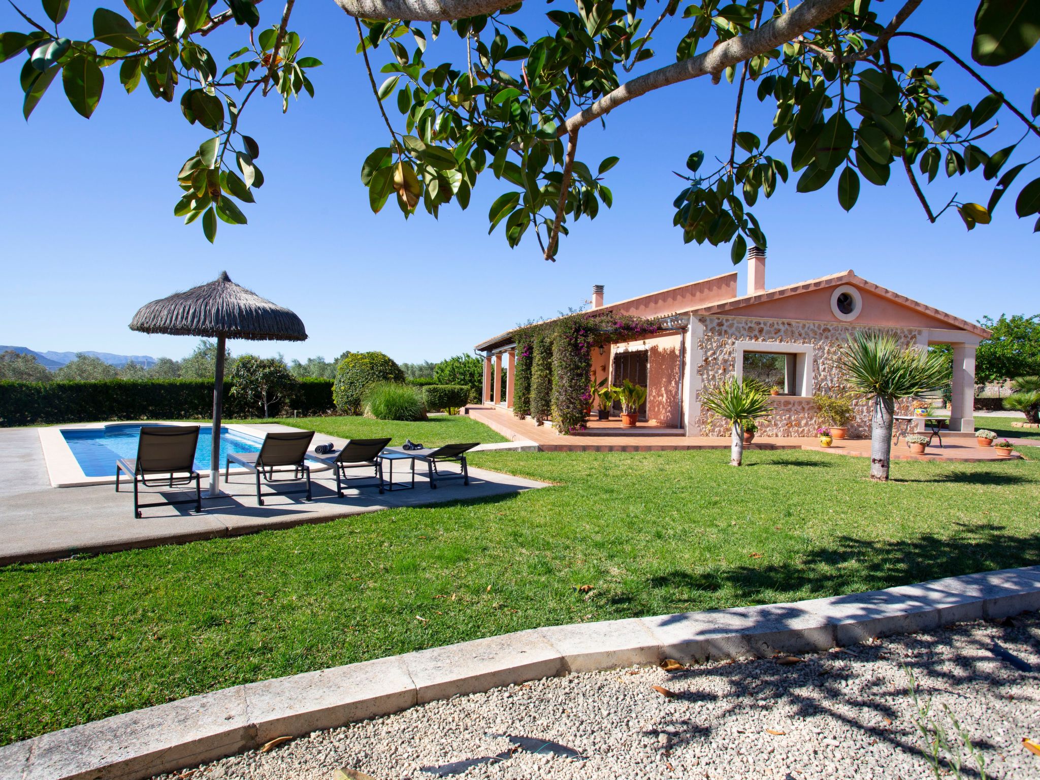 Finca Oliveres-Binnen