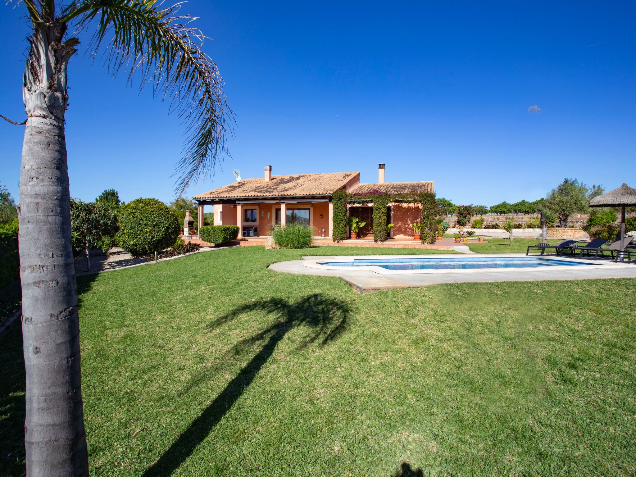 Finca Oliveres-Binnen