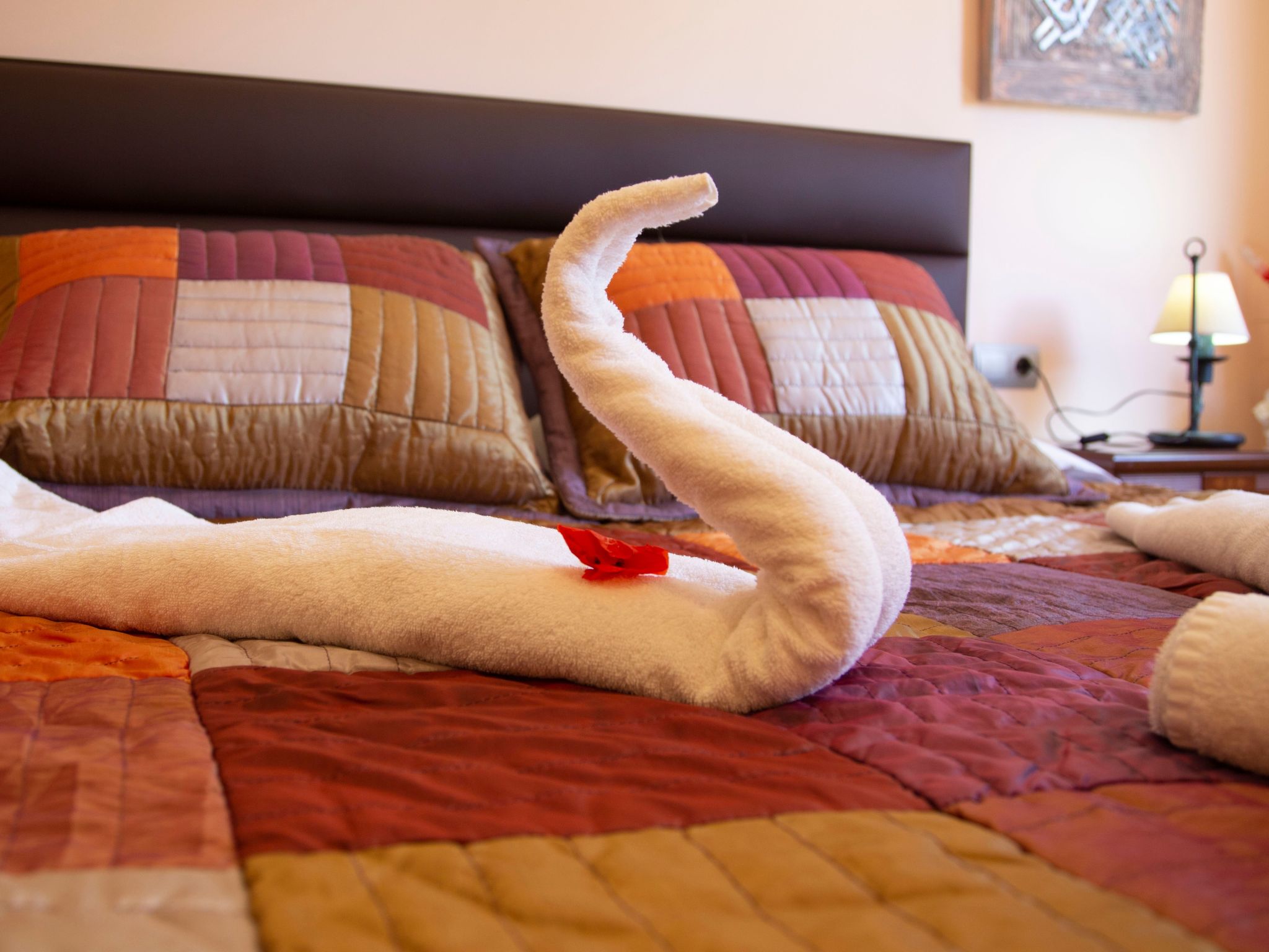 Finca Oliveres-Binnen