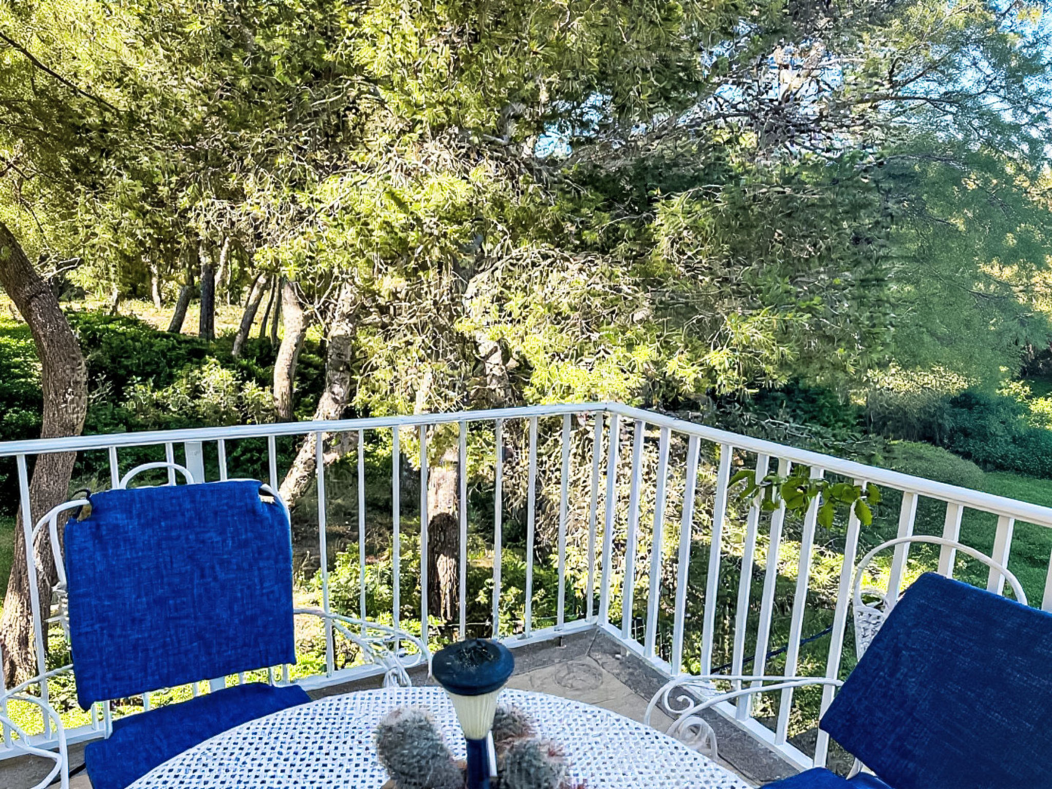 Ferienvilla Schönheit mallorca can picafort - Draußen