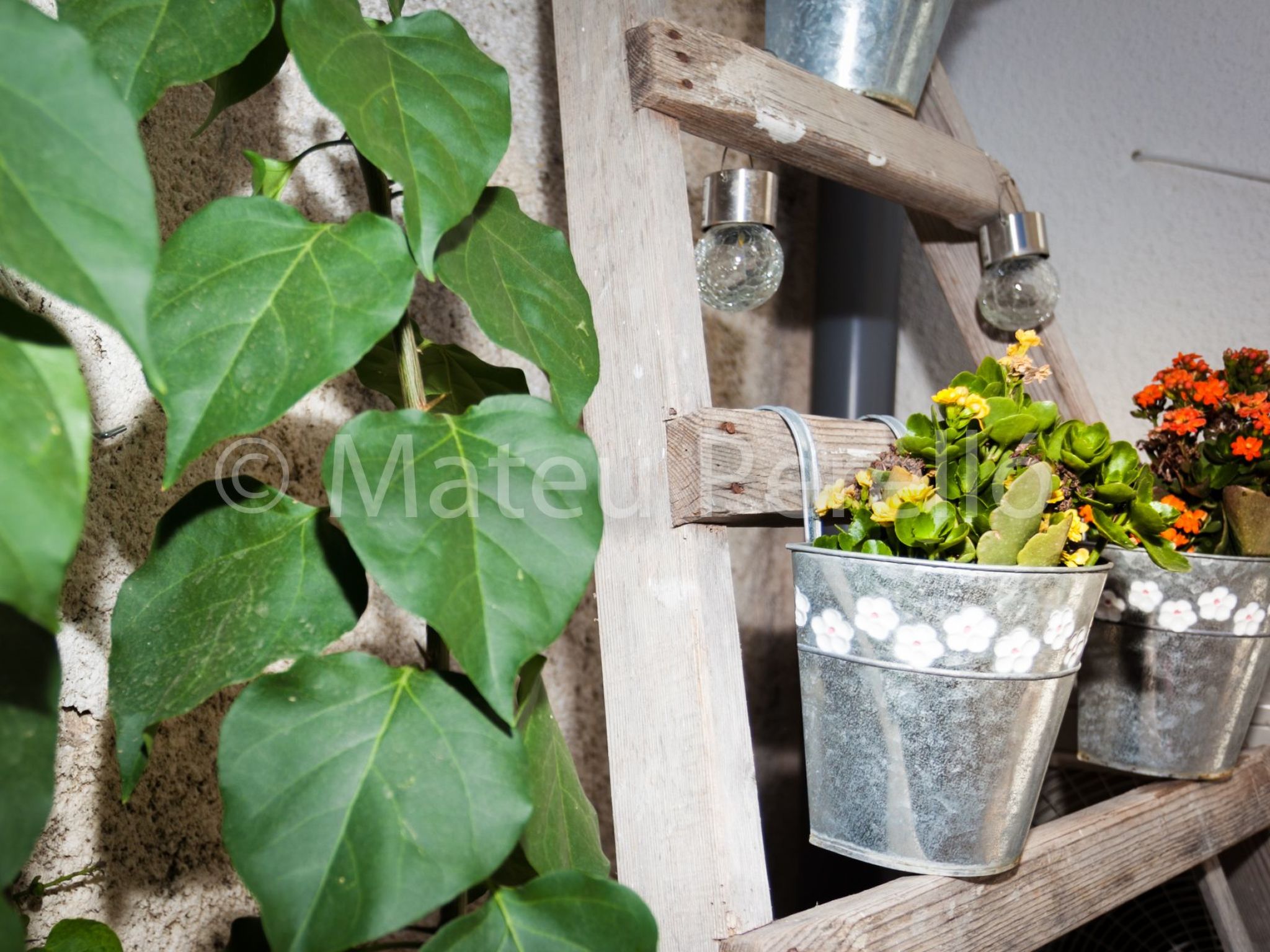 SLB-Stadthaus mit sonnigem Innenhof und Schwimmbad-Binnen