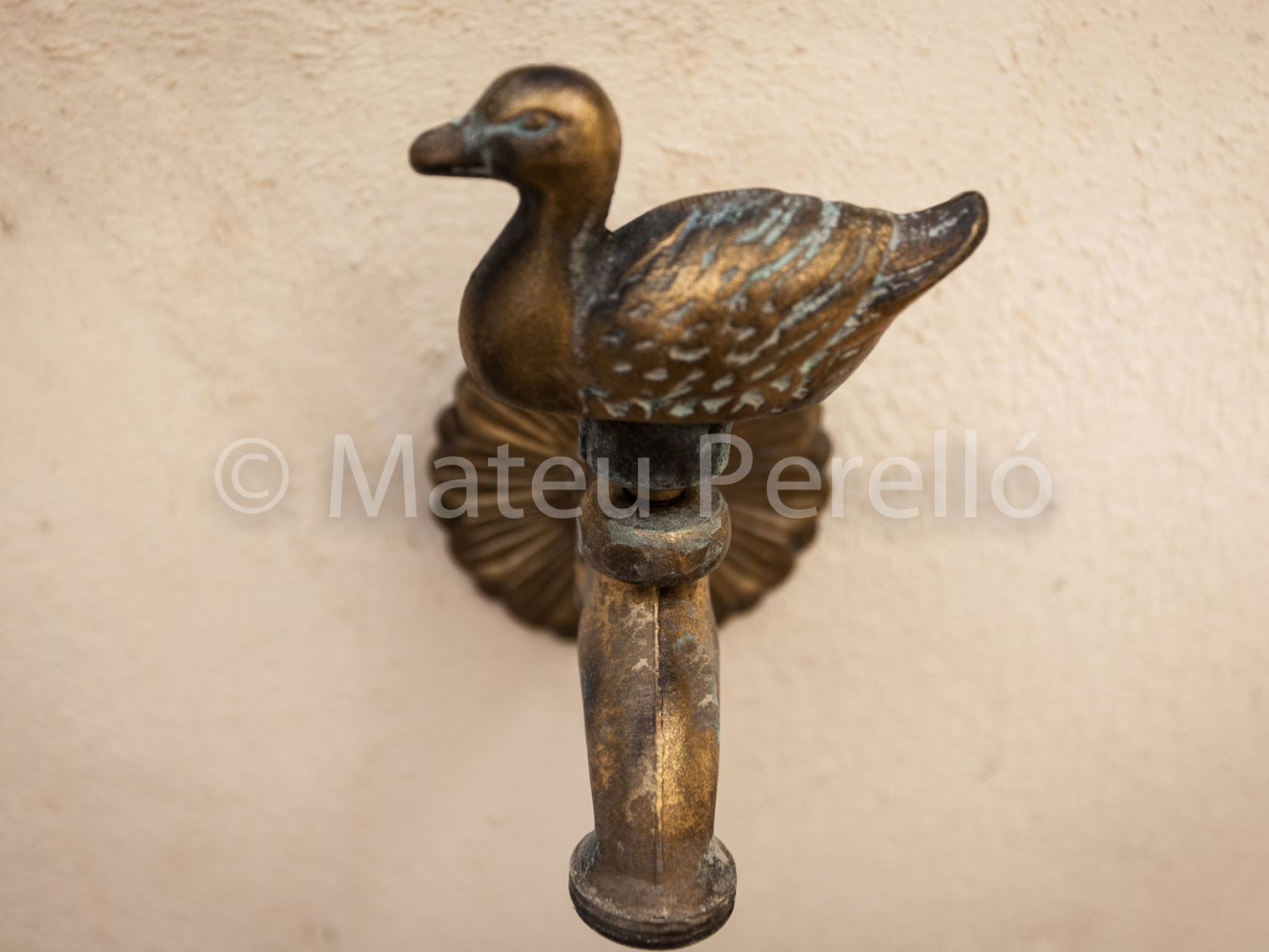 SLB-Stadthaus mit sonnigem Innenhof und Schwimmbad-Binnen