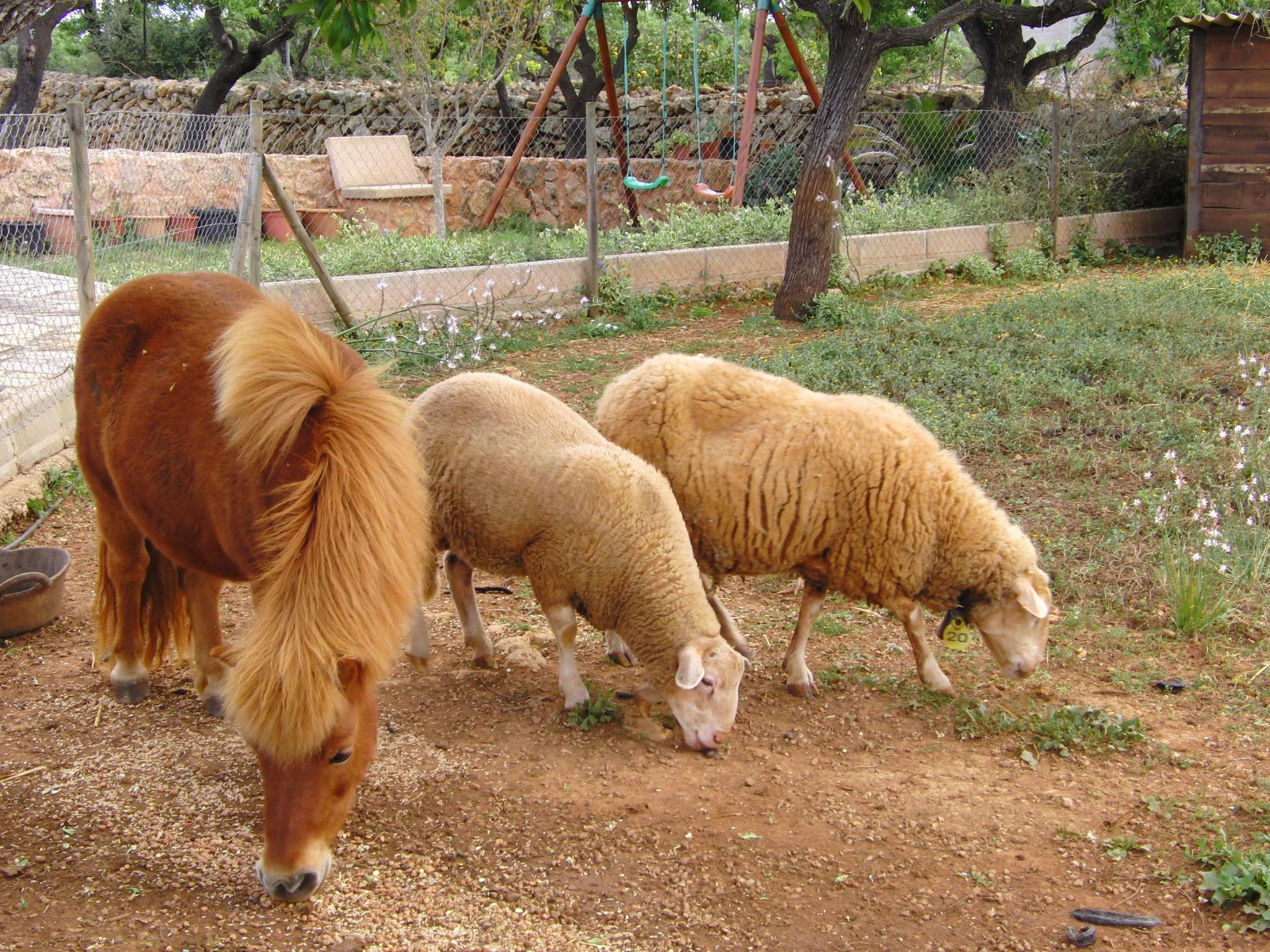 Villa mit 5 Schlafzimmern und Pool auf dem Lande-Binnen