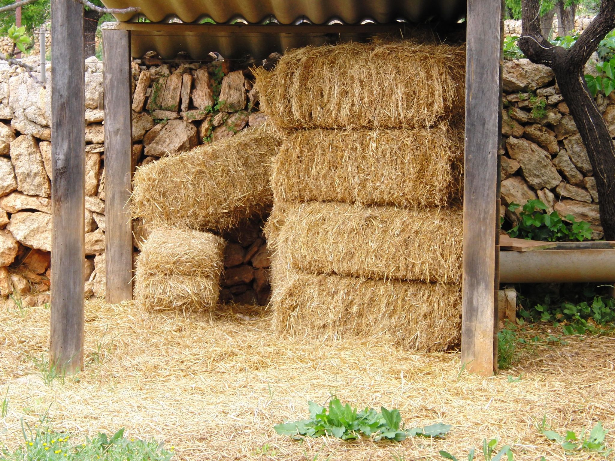 Villa mit 5 Schlafzimmern und Pool auf dem Lande-Binnen