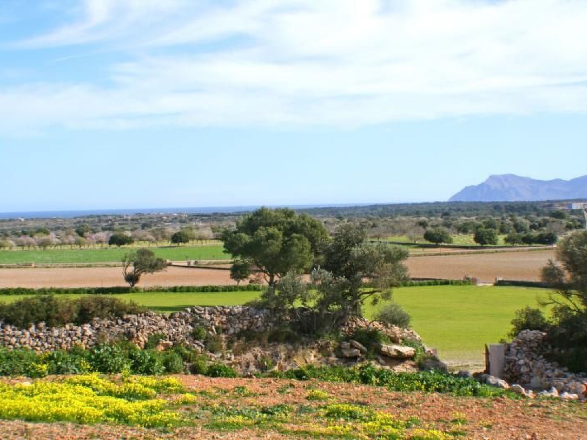 Finca Saraix bei Santa Margalida-Binnen
