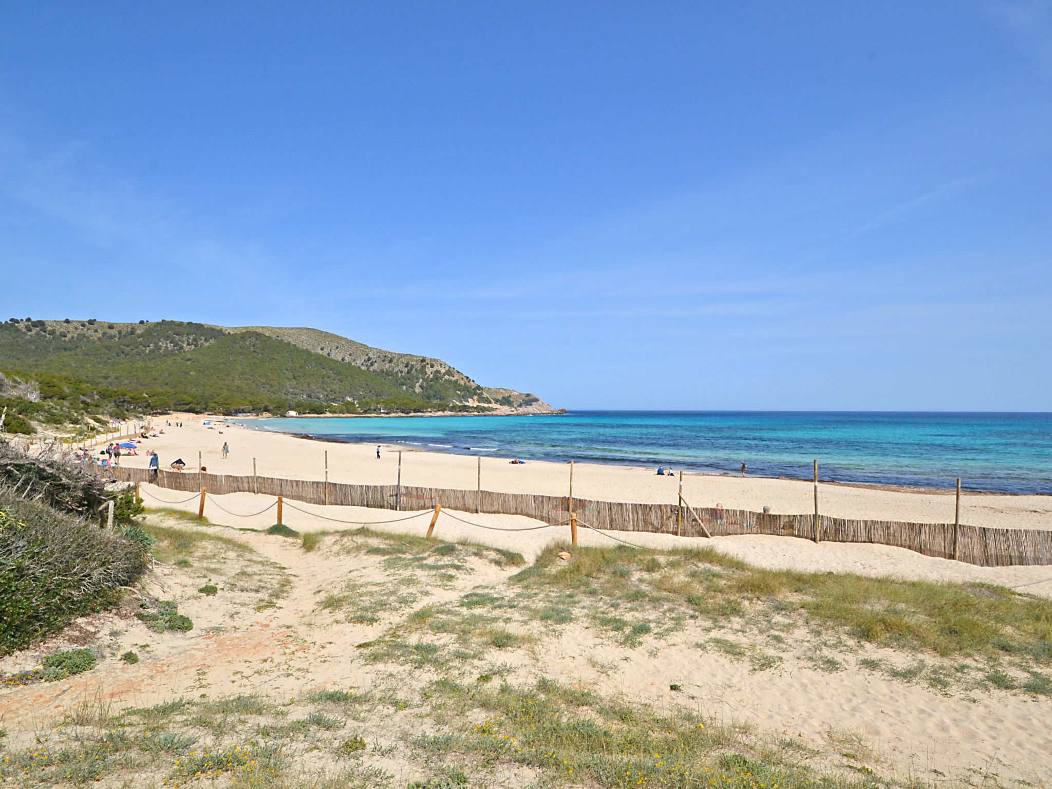 Photo of ES8225.629.1