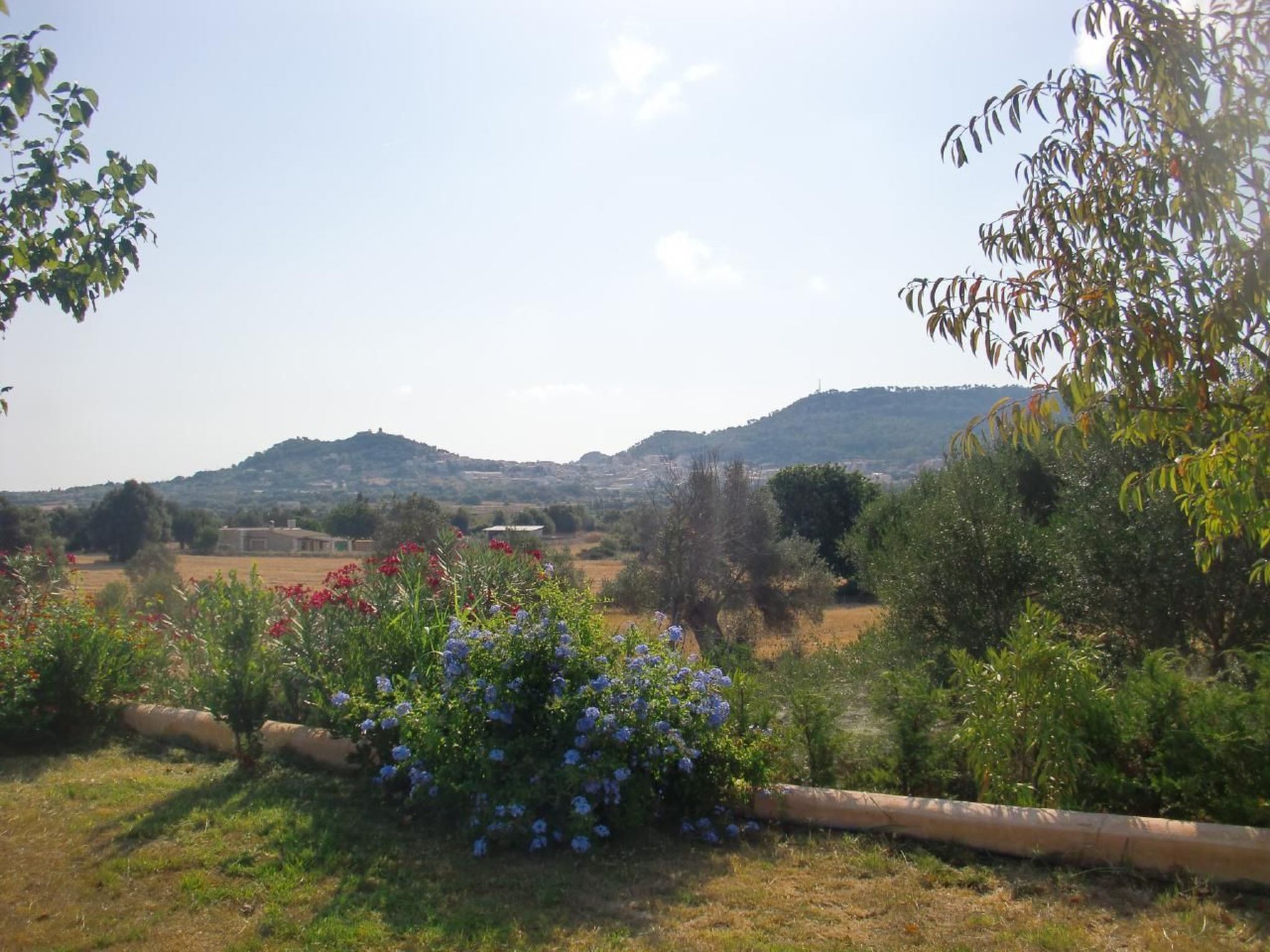 Maison Finca S'Oliva – photo, photo 2 sur 14