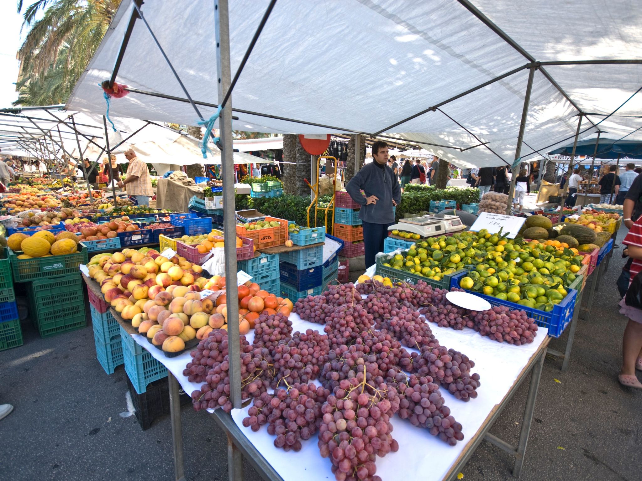 Photo of Wohnung 'Can Serol' mit eigener Terrasse