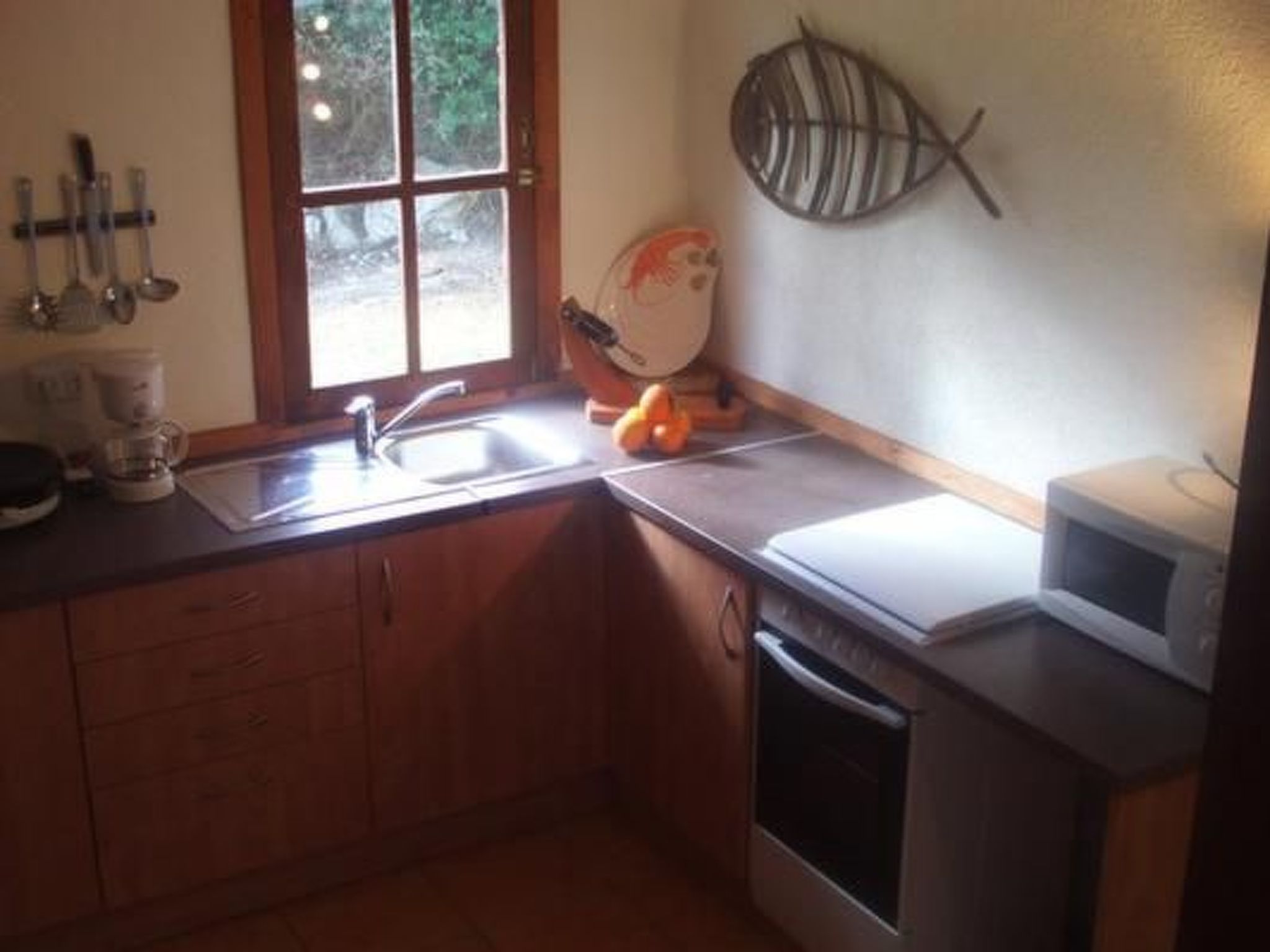 Mit Blick auf das Wasser-Image-tags.info