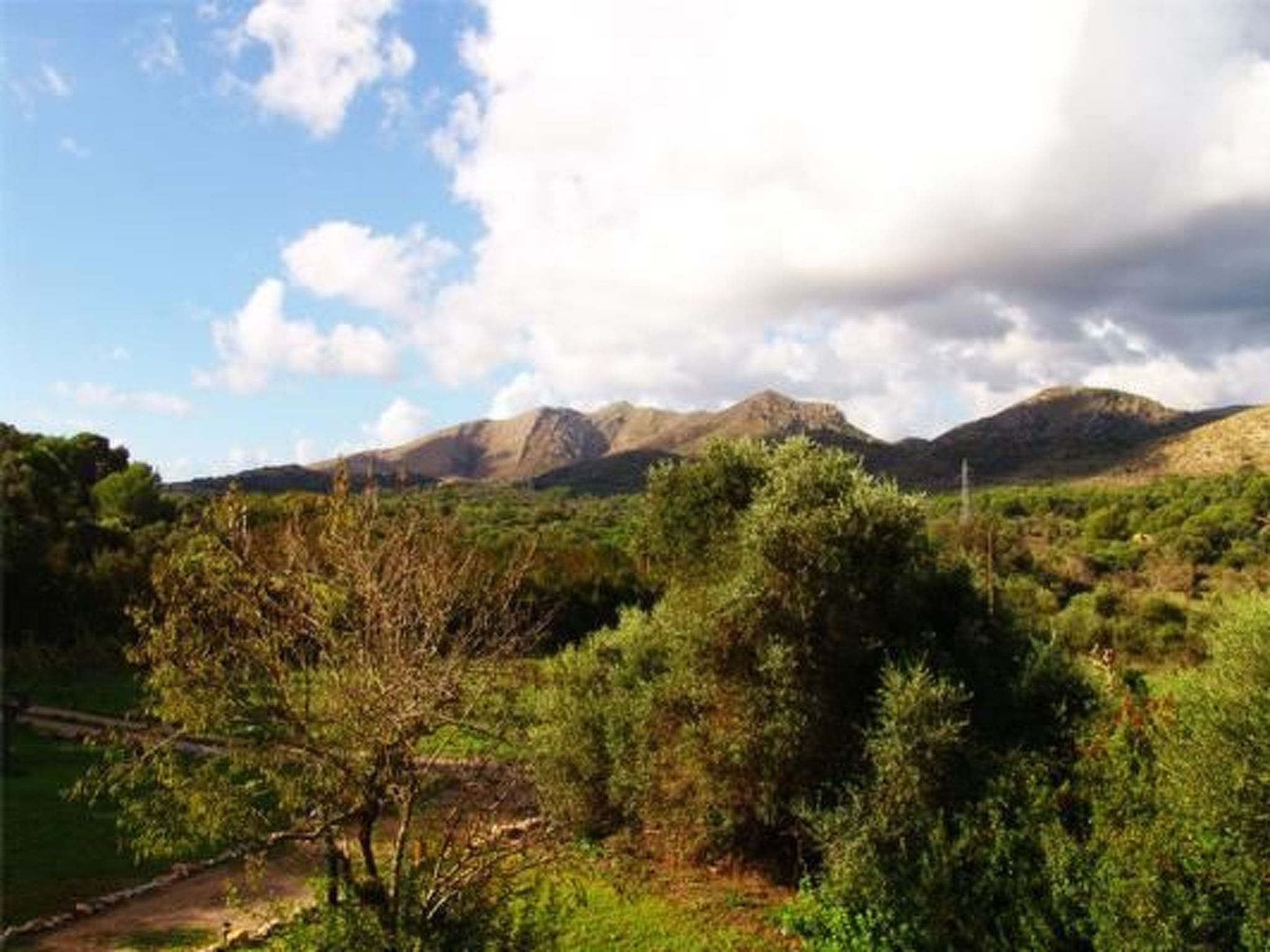 Mit Blick auf das Wasser-Image-tags.info