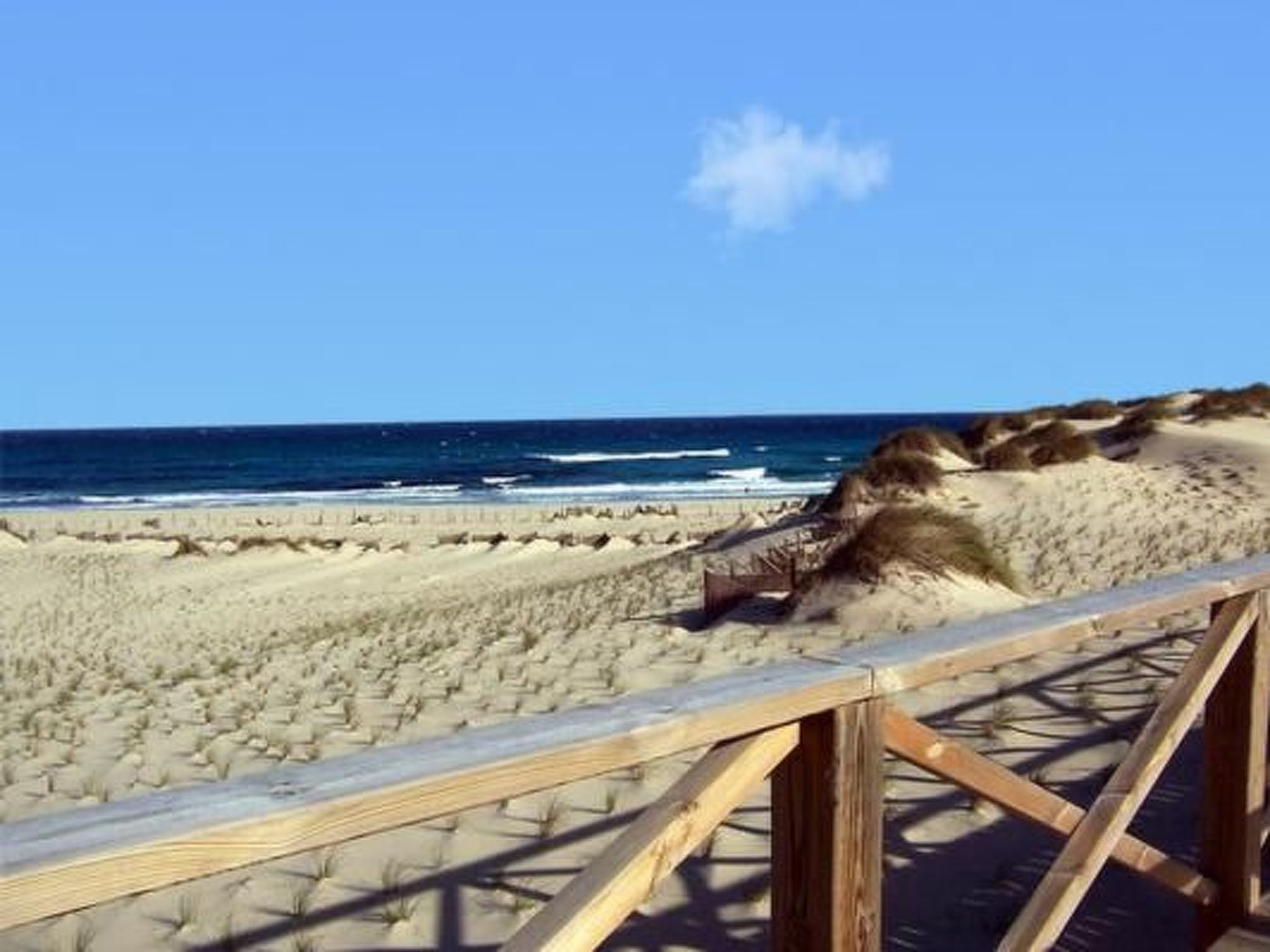 Mit Blick auf das Wasser-Image-tags.info