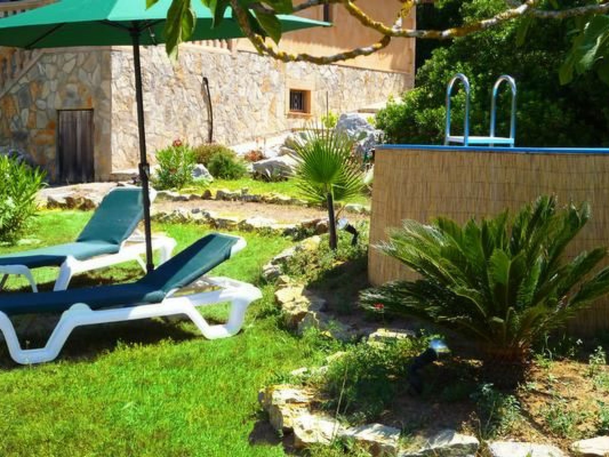 Almendra-Image-tags.info