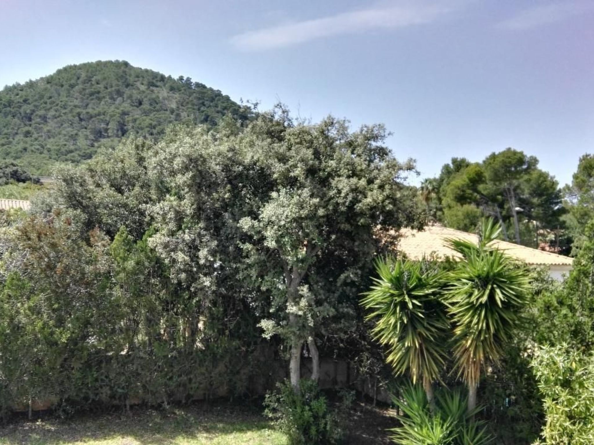 In Pedruscada mit Privatem Pool-Image-tags.info