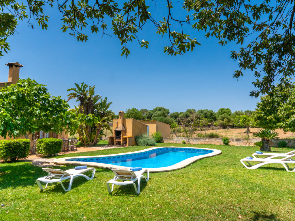 Es Coscolls — Pool Outdoor