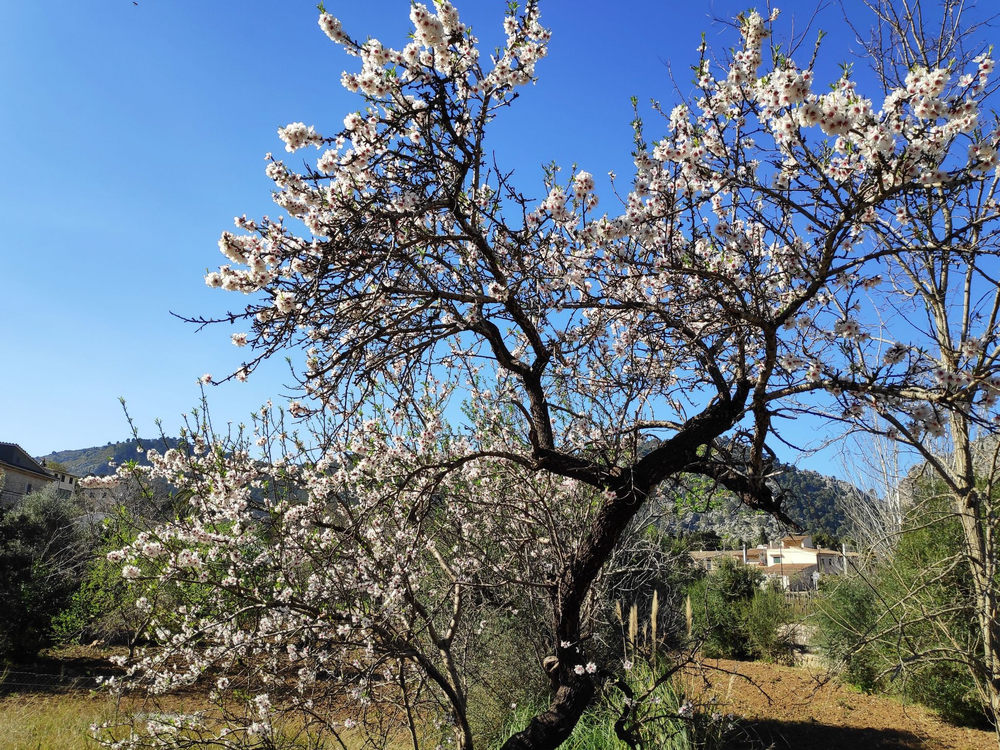 Ruhiges Haus 5 Min. vom Strand entfernt-Binnen