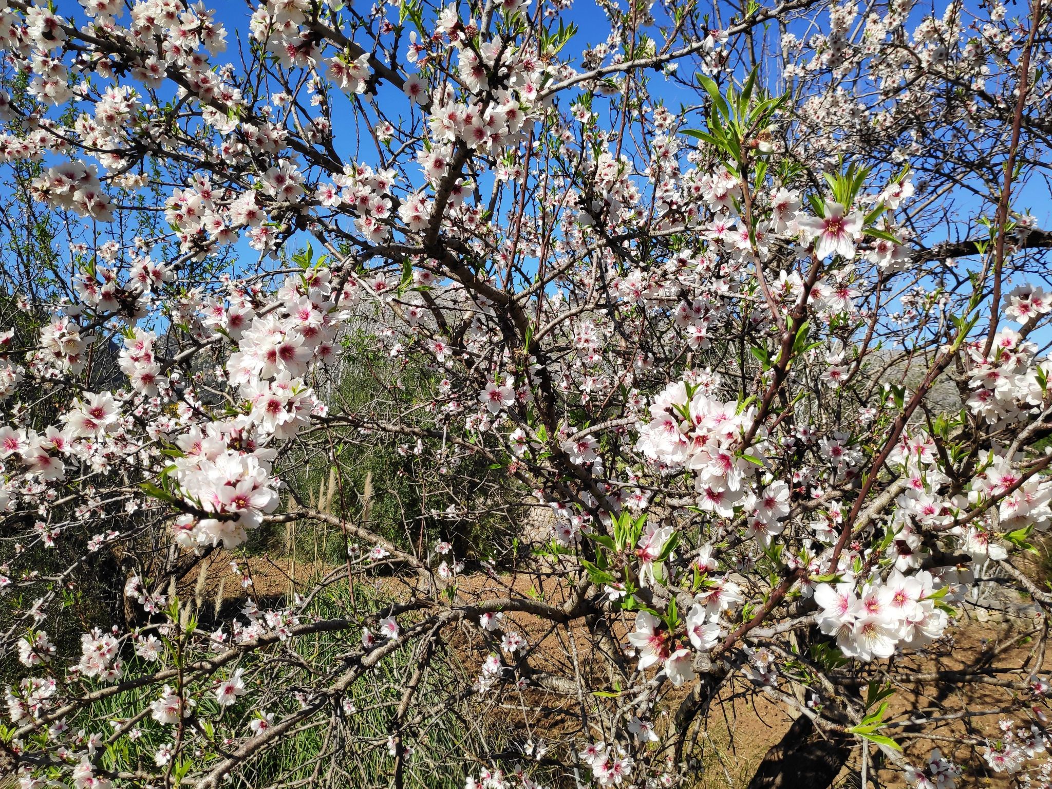 Ruhiges Haus 5 Min. vom Strand entfernt-Binnen