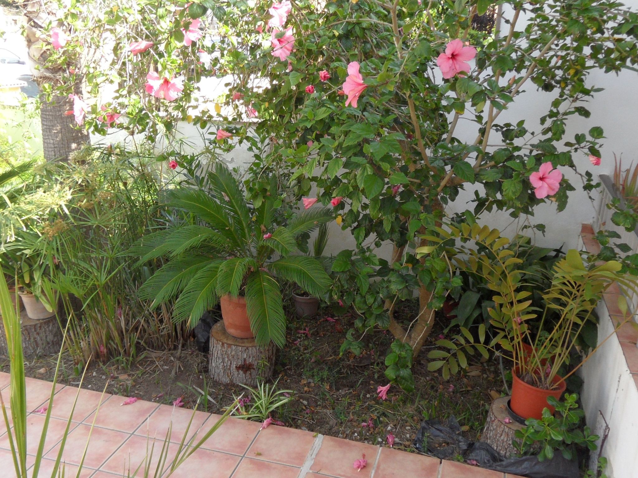 Für 2 Personen und 4 Kinder-Inside