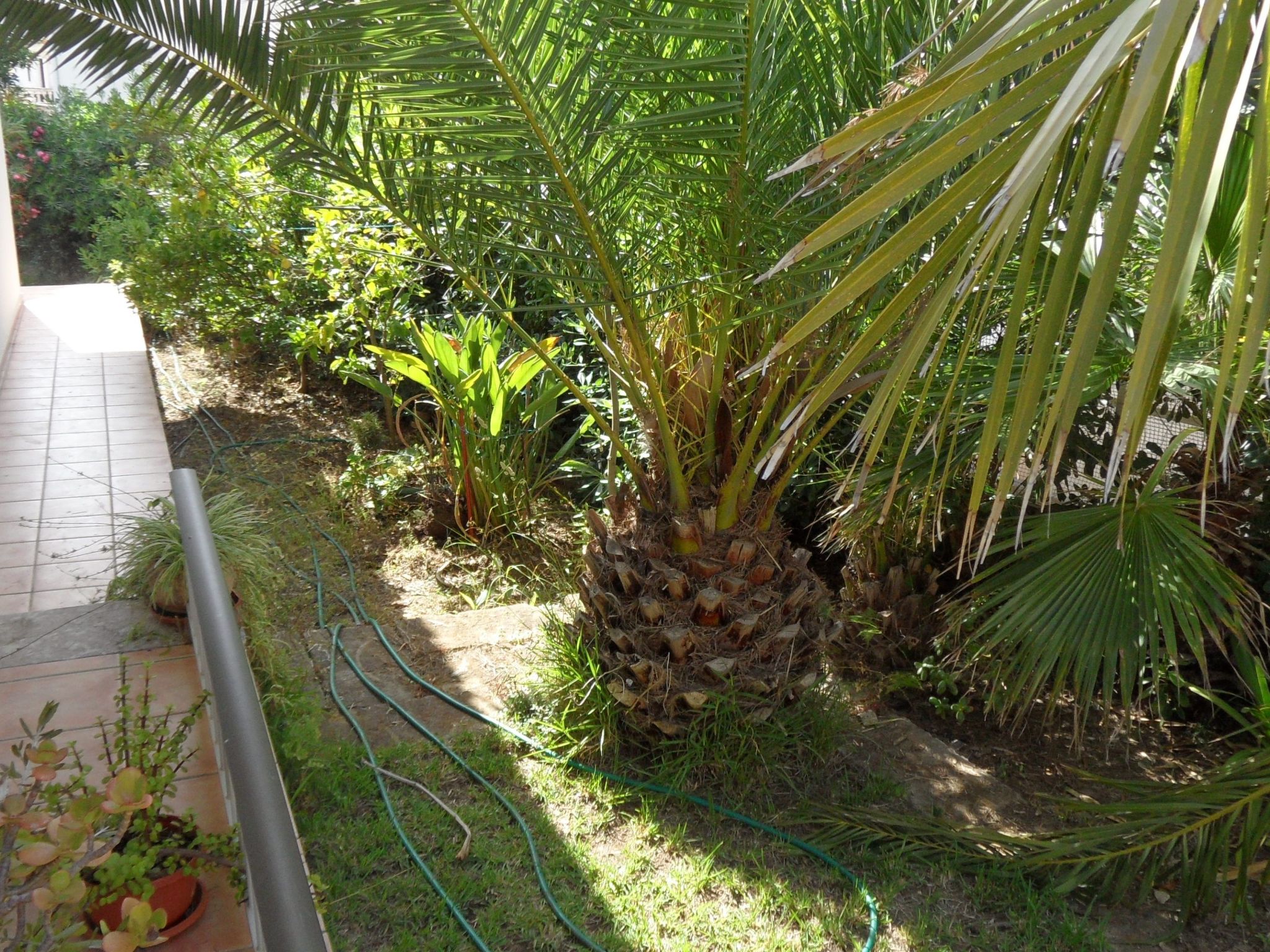 Für 2 Personen und 4 Kinder-Inside