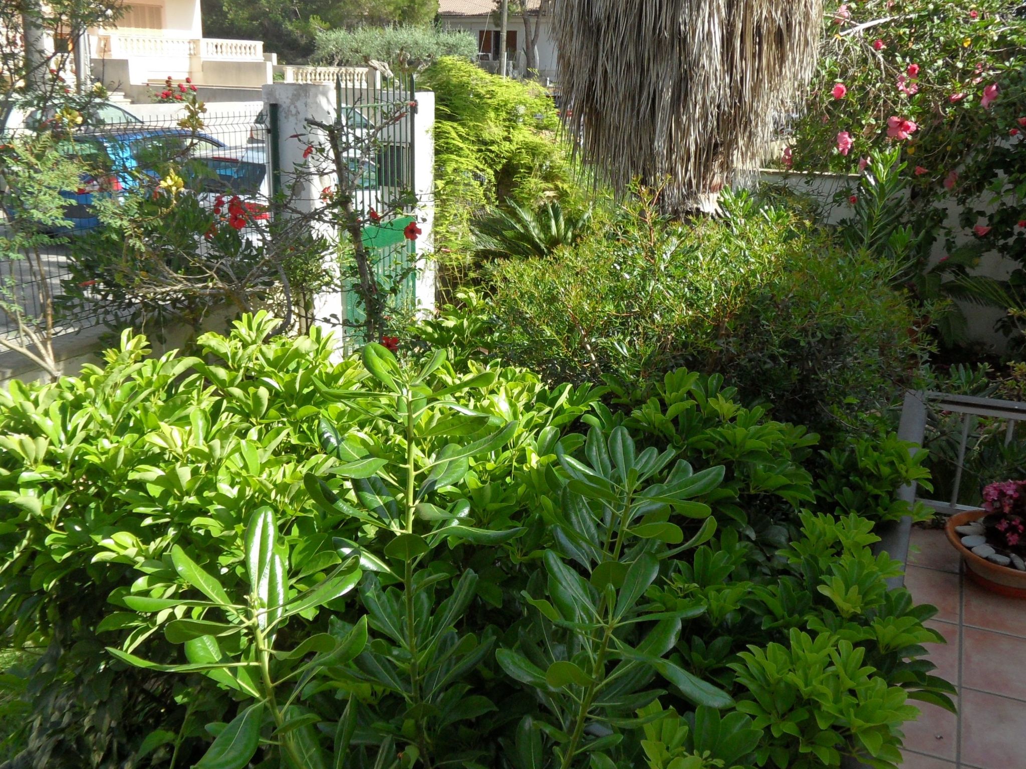 Für 2 Personen und 4 Kinder-Inside