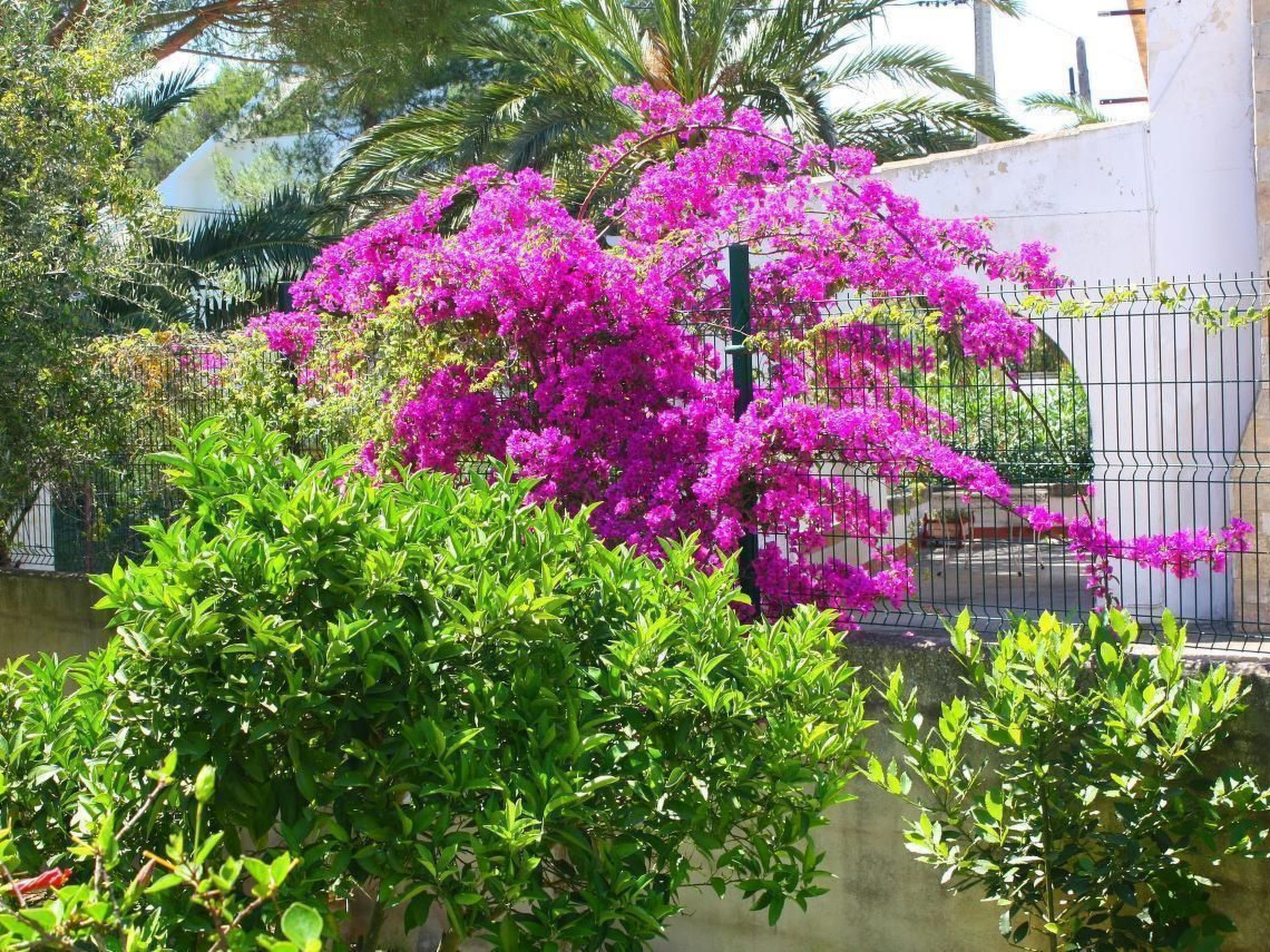 Villa Can Picafort 2 Minuten vom Strand entfernt
