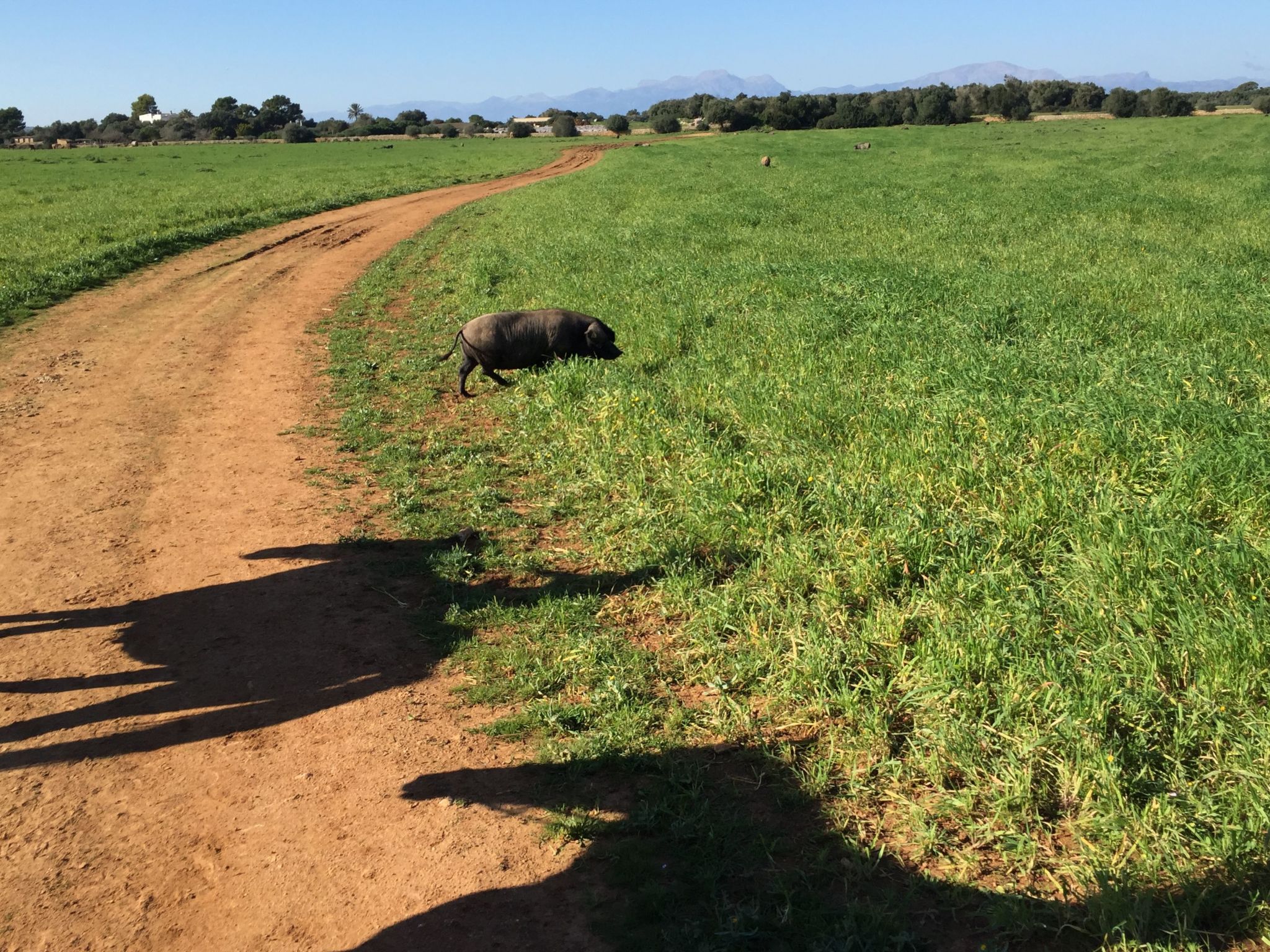 Strandvilla Beach and Ocean in Son Serra De Mari - Drinnen