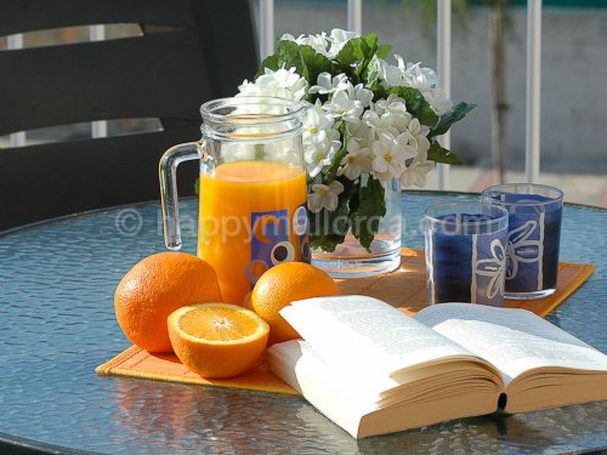 Komfortables Appartement in erster Meereslinie