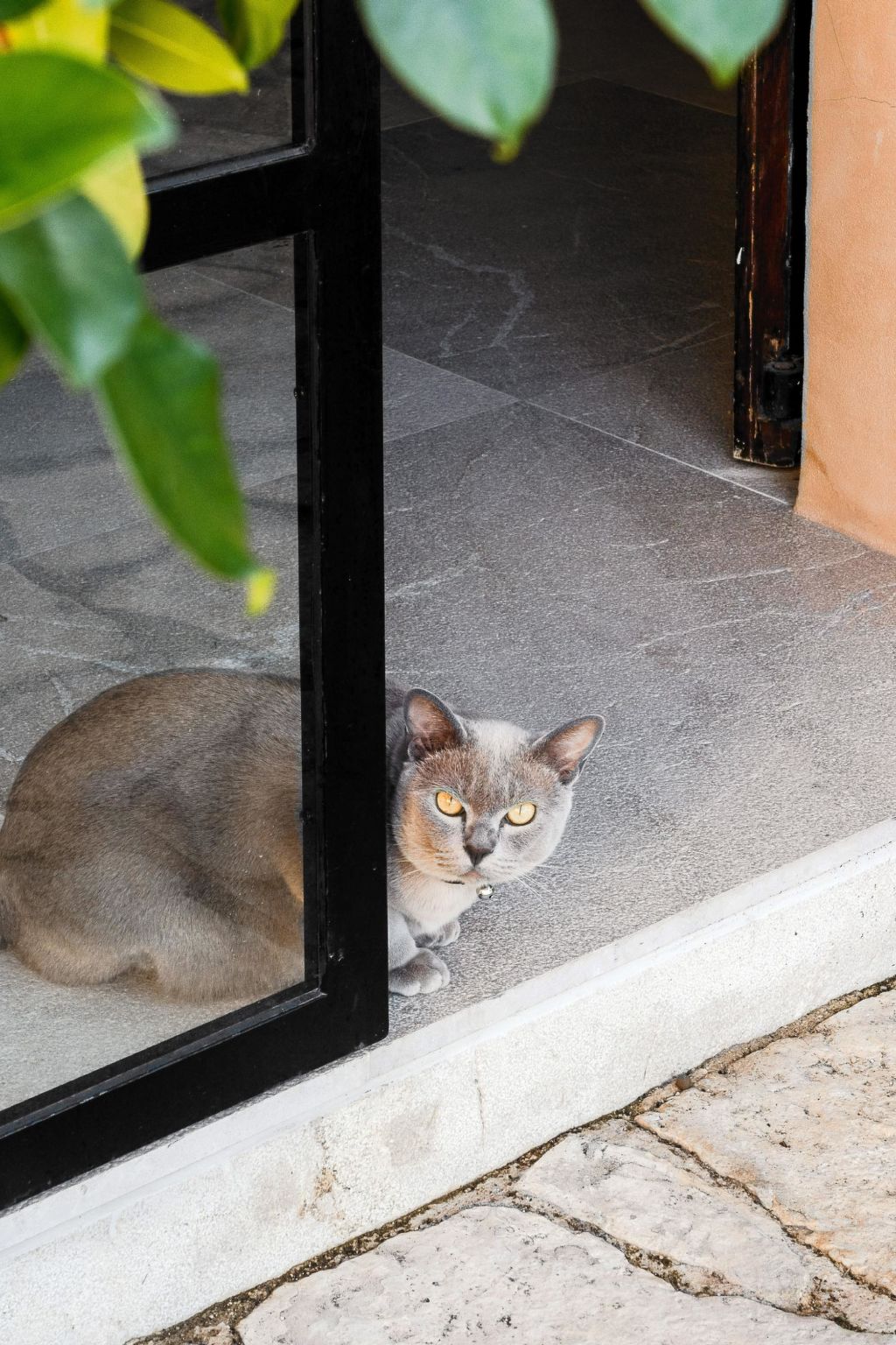 VILLA ALENAR. Espectacular villa rústica en San Marçal, Piscina Privada - WiFi - Binnen