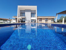 Moderne villa met privézwembad en grote tuin op slechts 13 km van het strand - thumbnail 2