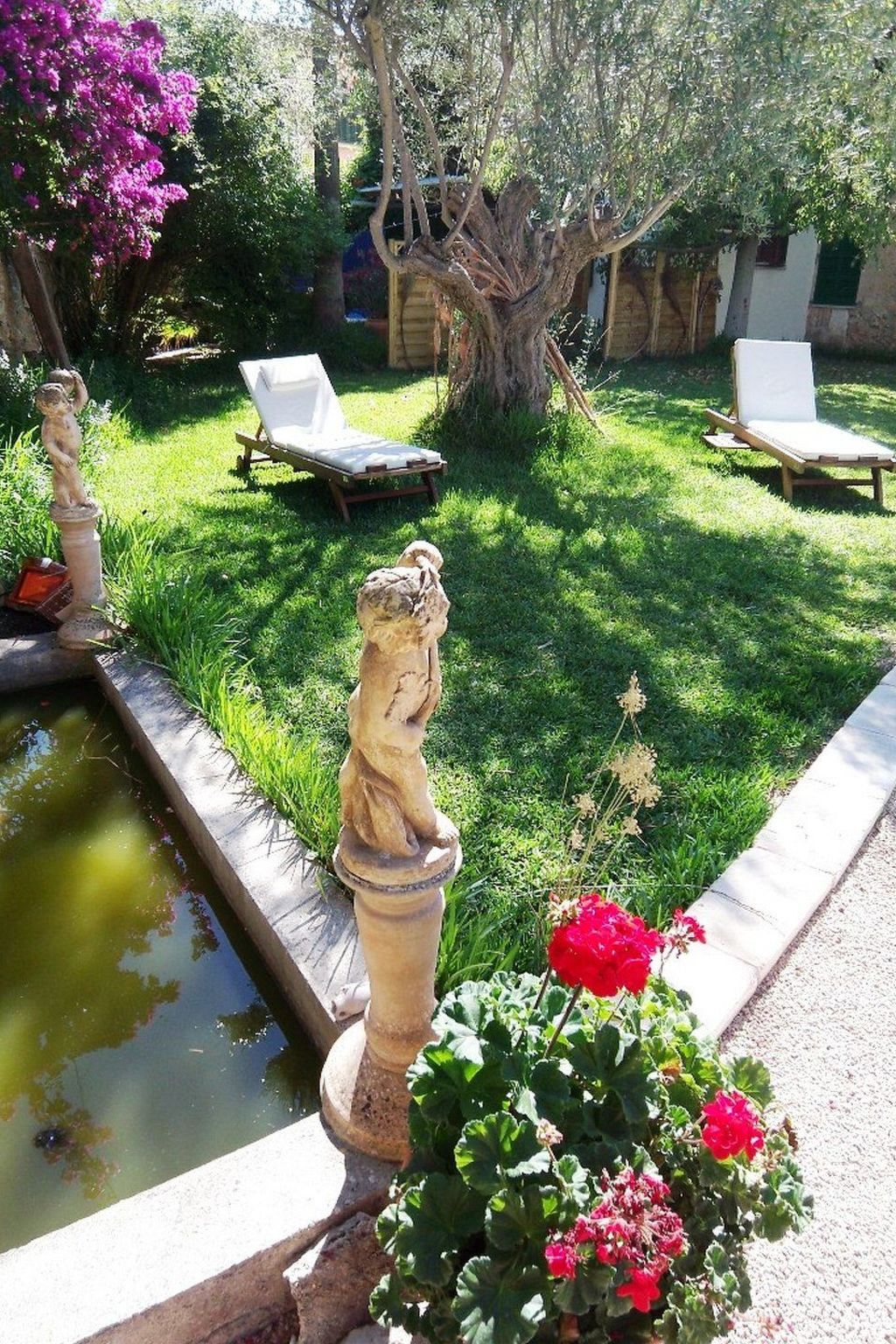 Can Mavi-Image-tags.info