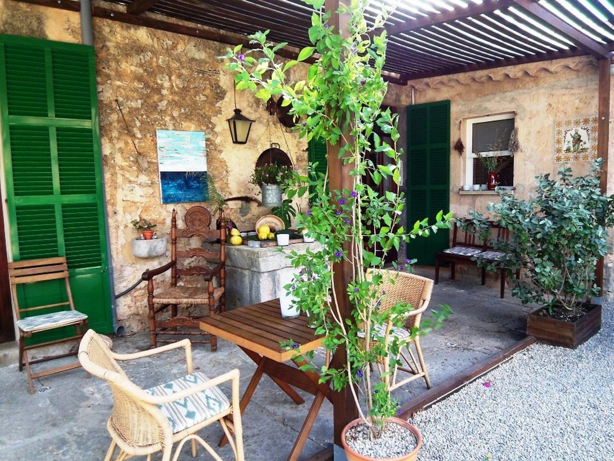 Can Mavi-Image-tags.info