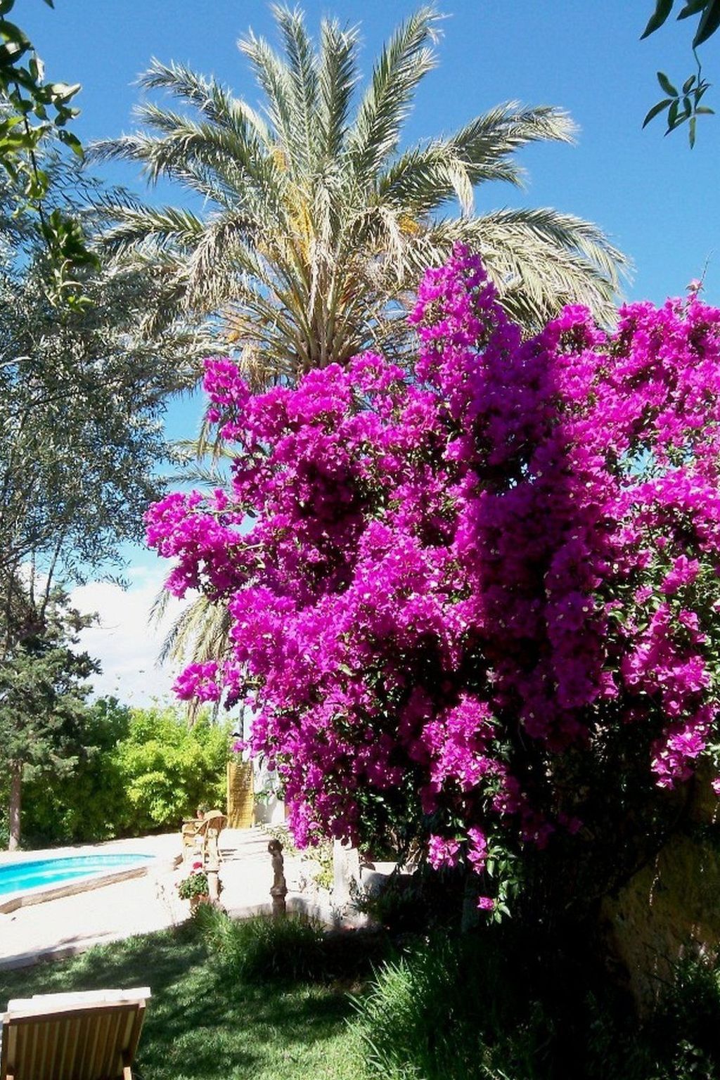 Can Mavi-Image-tags.info