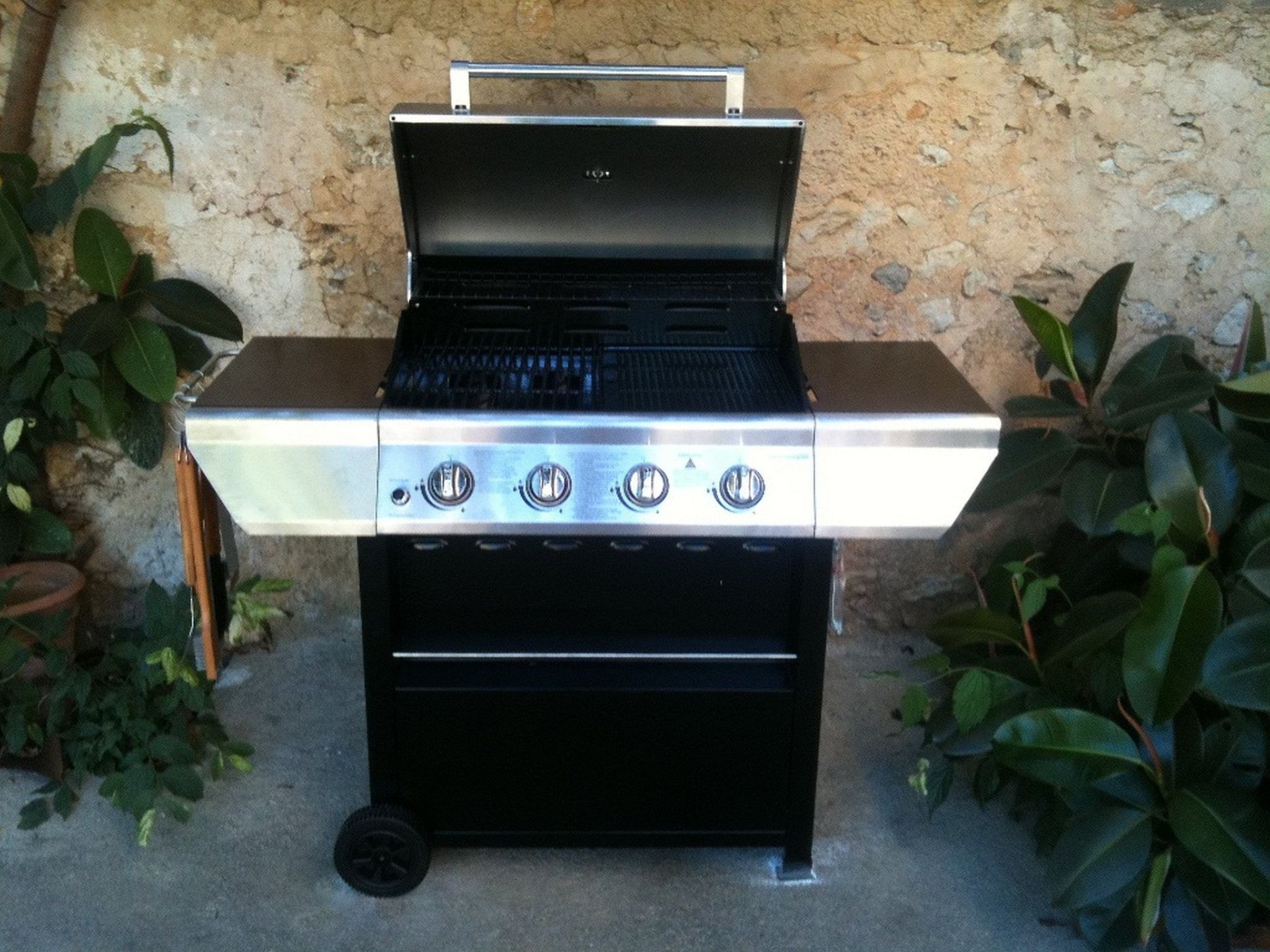 Can Mavi-Image-tags.info