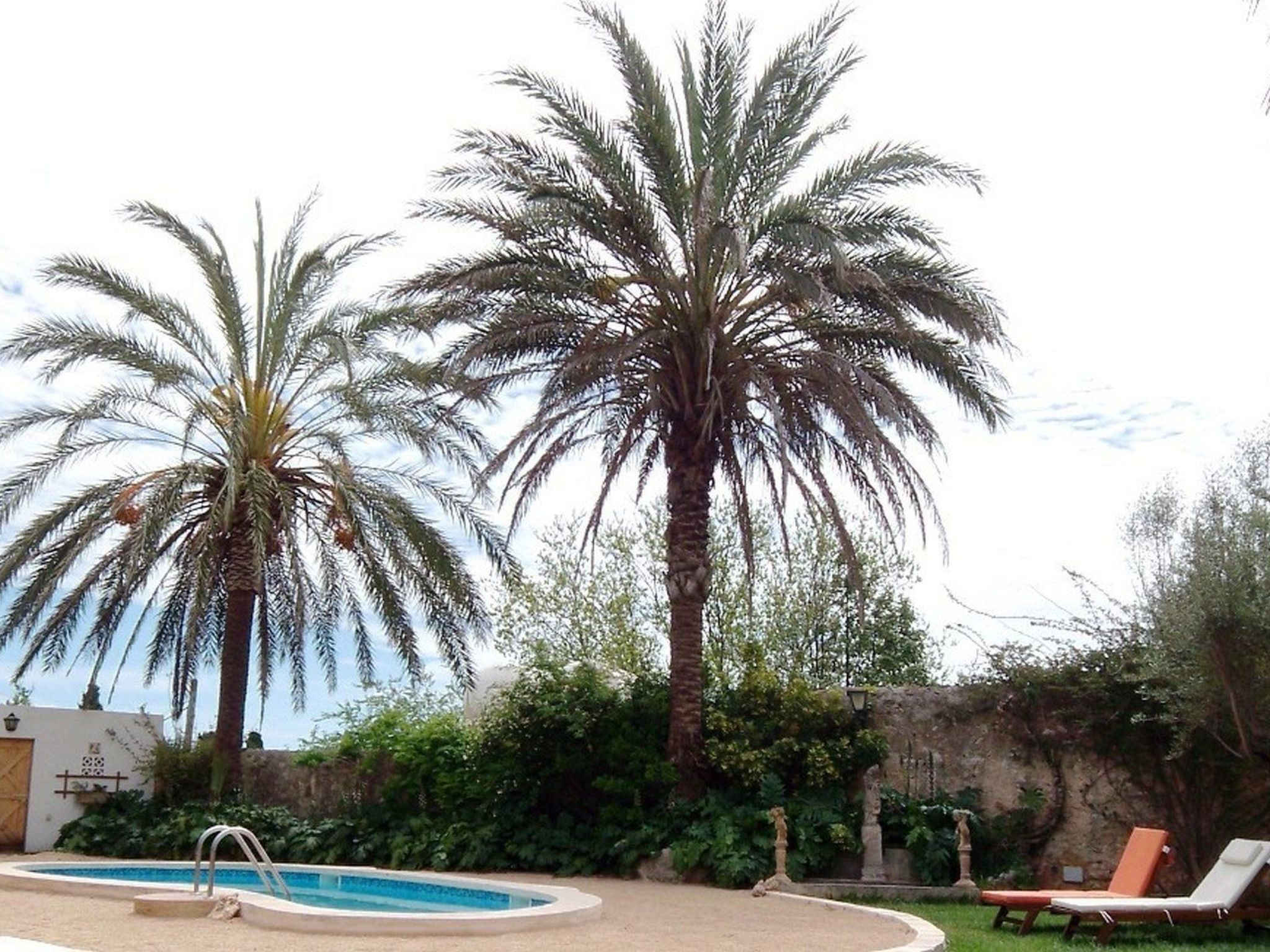 Can Mavi-Image-tags.info