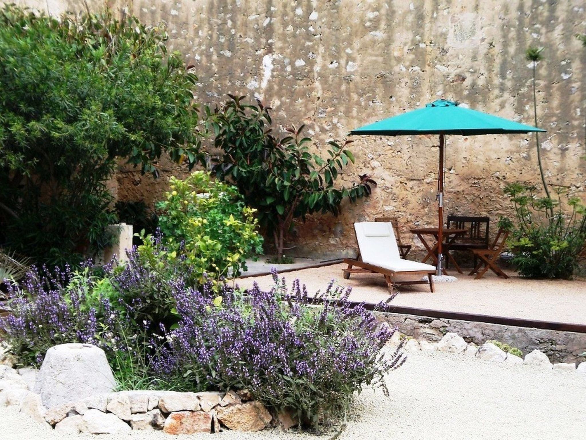 Can Mavi-Image-tags.info