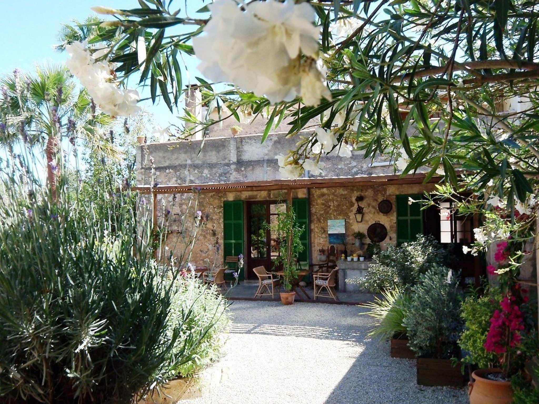 Can Mavi-Image-tags.info