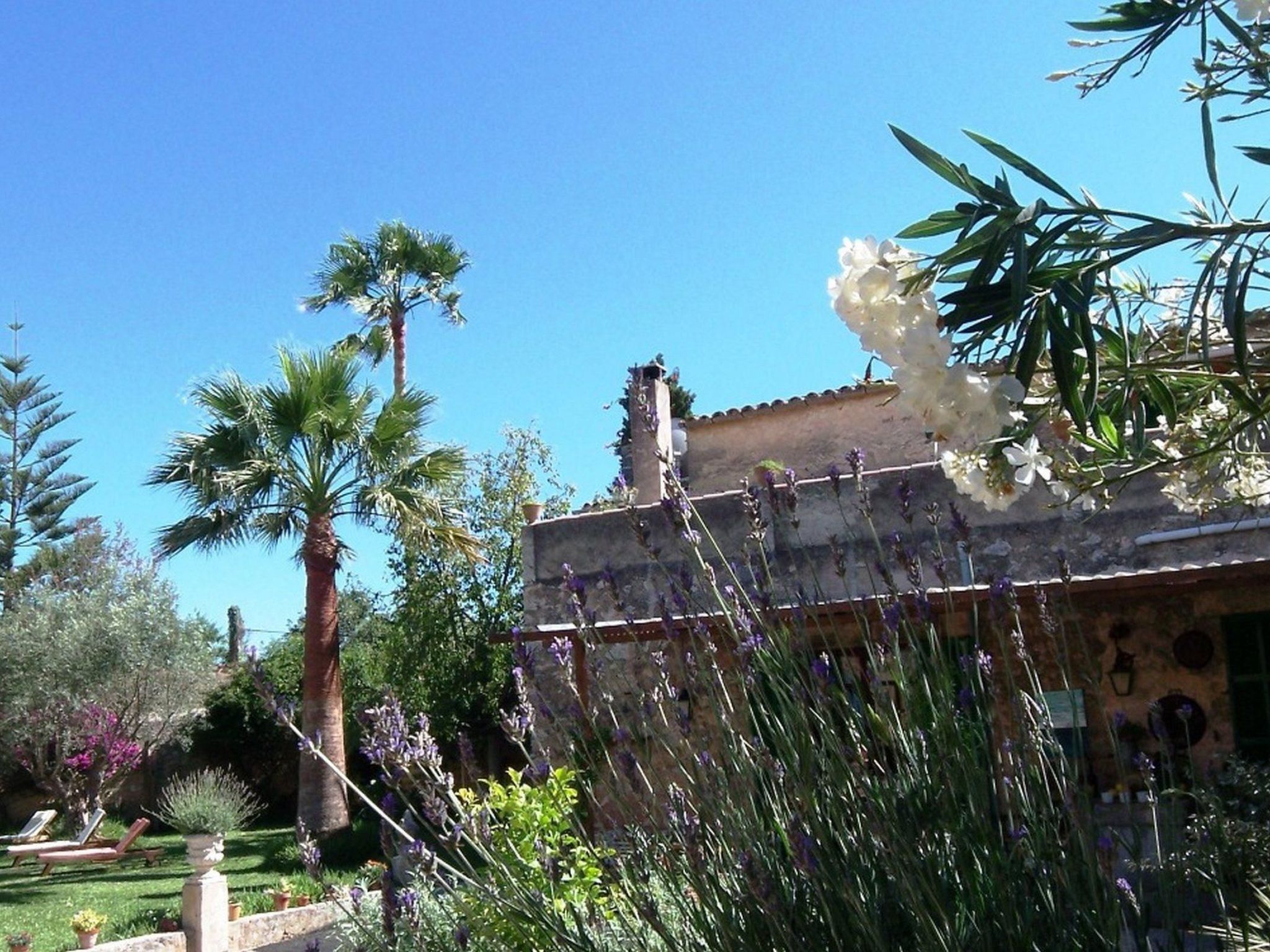 Can Mavi-Image-tags.info