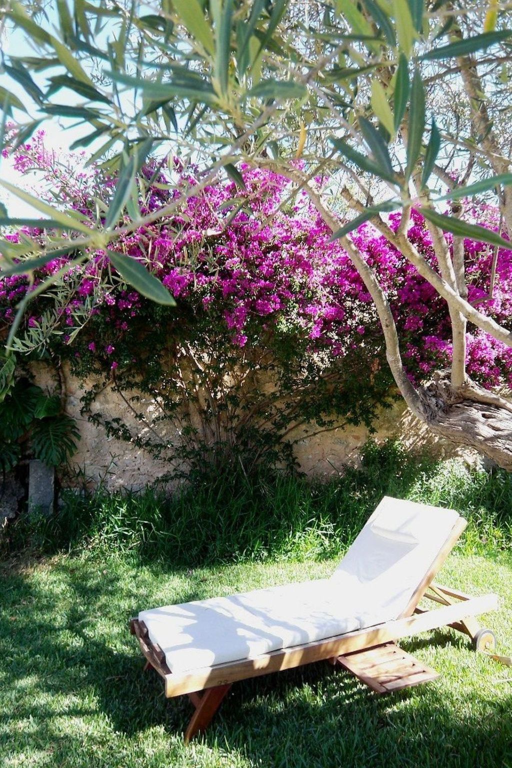 Can Mavi-Image-tags.info