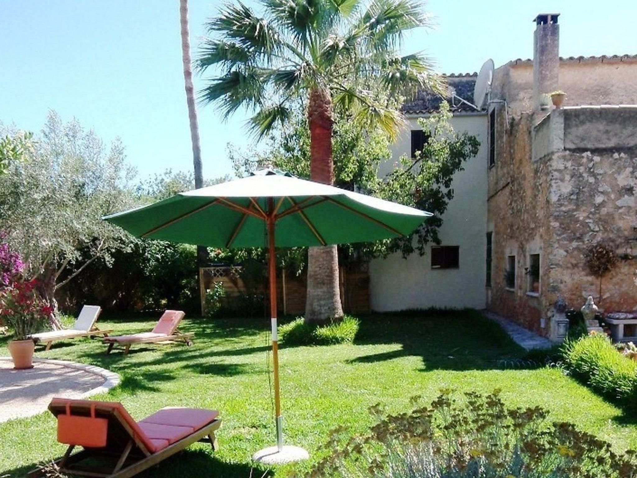 Can Mavi-Image-tags.info