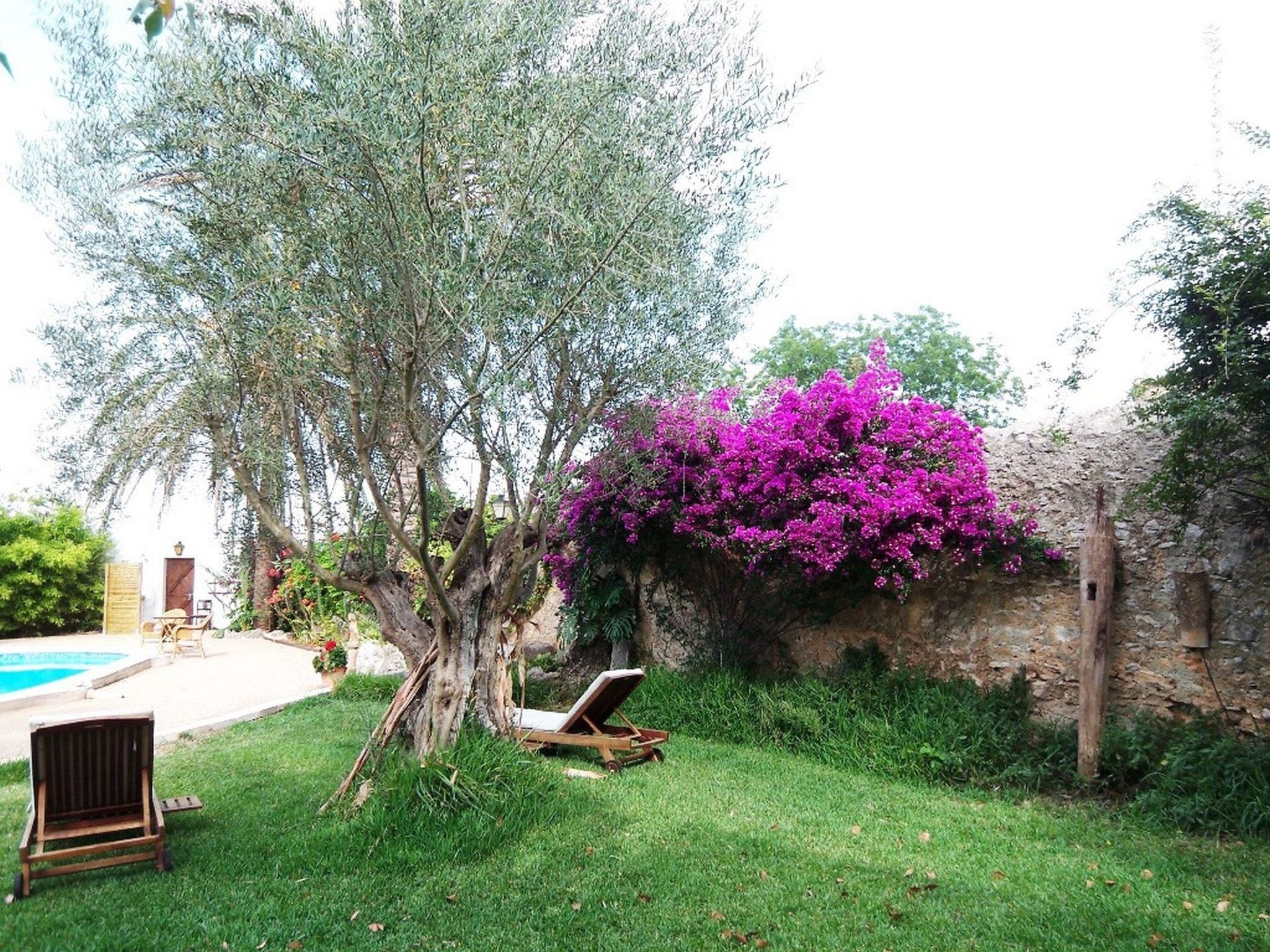 Garten Appartment-Image-tags.info