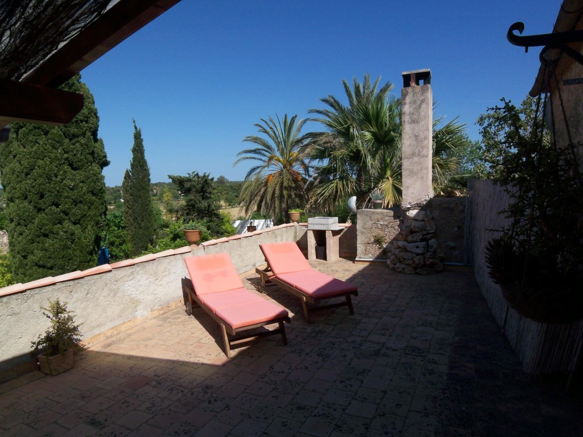 Can Mavi 02-Image-tags.info