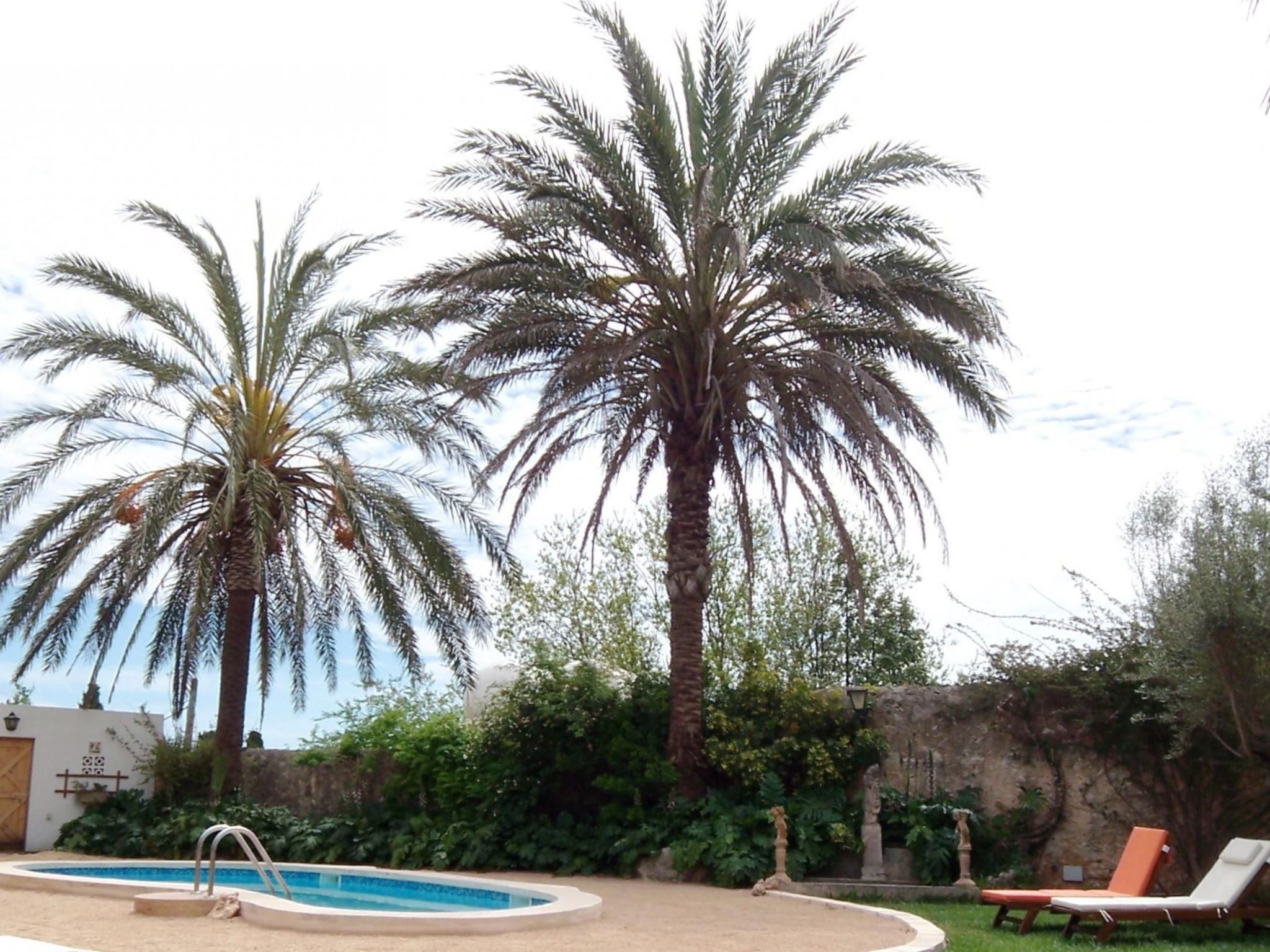 Can Mavi 02-Image-tags.info