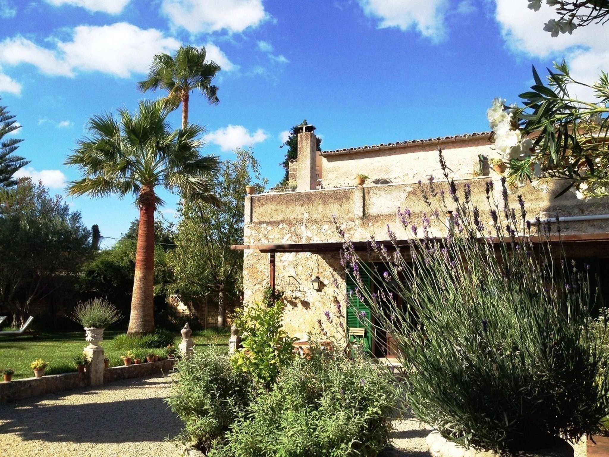 Can Mavi 02-Image-tags.info